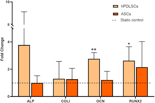 Bar chart comparing fold change of gene expression in hPDLSCs and ASCs for ALP, COLI, OCN, and RUNX2. Significant differences are marked. Static control is indicated by a dashed line.