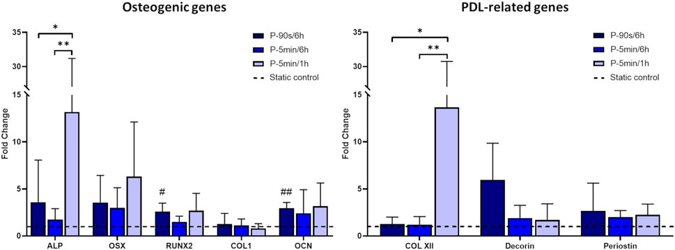 Bar chart comparing fold changes in gene expression for osteogenic and PDL-related genes. Different treatments are represented by various shades: P-90s/6h, P-5min/6h, P-5min/1h, and static control. Error bars indicate variability.