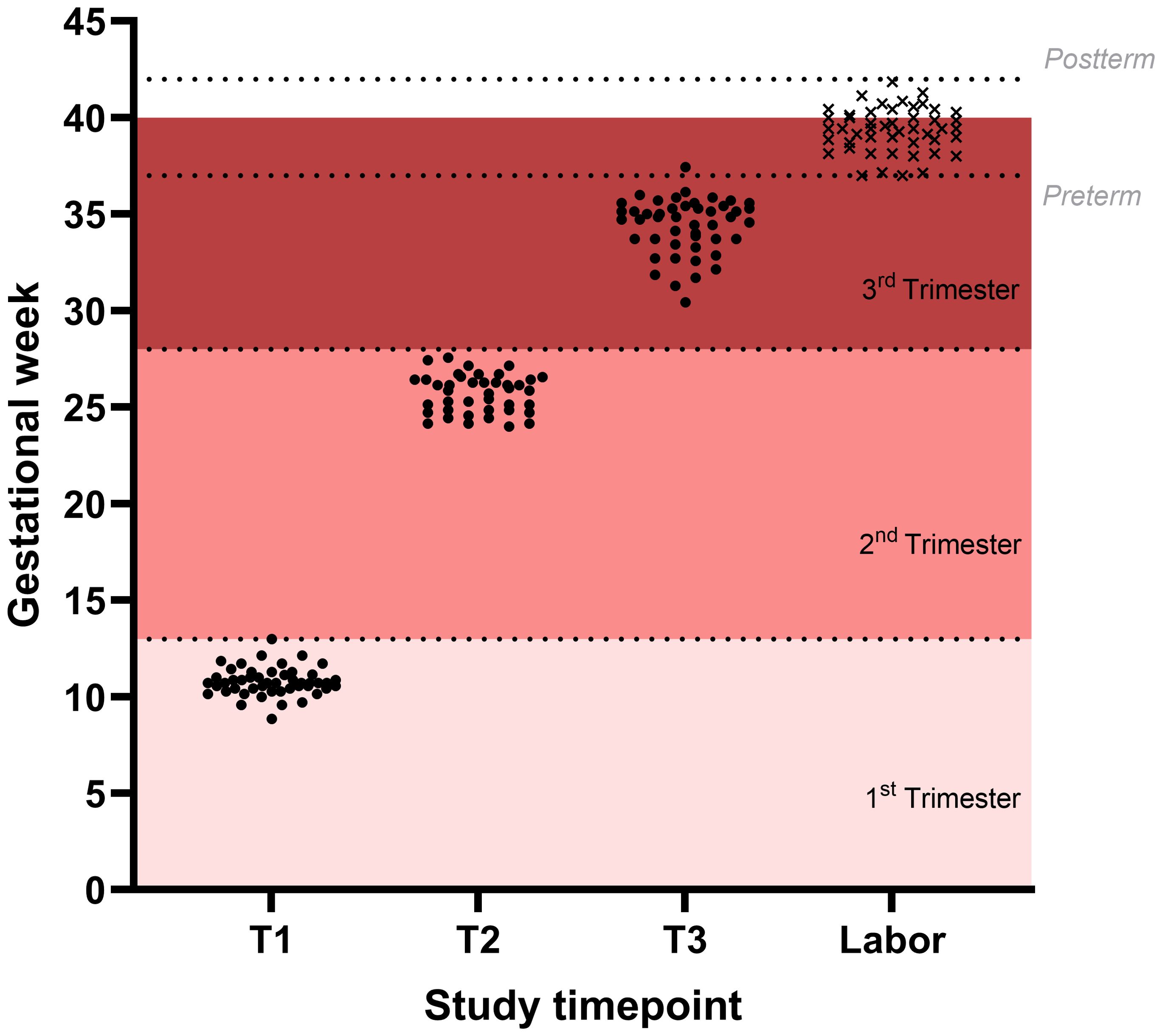 Scatter plot showing gestational weeks against study timepoints T1, T2, T3, and Labor. Points are clustered within the 1st, 2nd, and 3rd trimesters, with dotted lines indicating preterm and postterm periods.