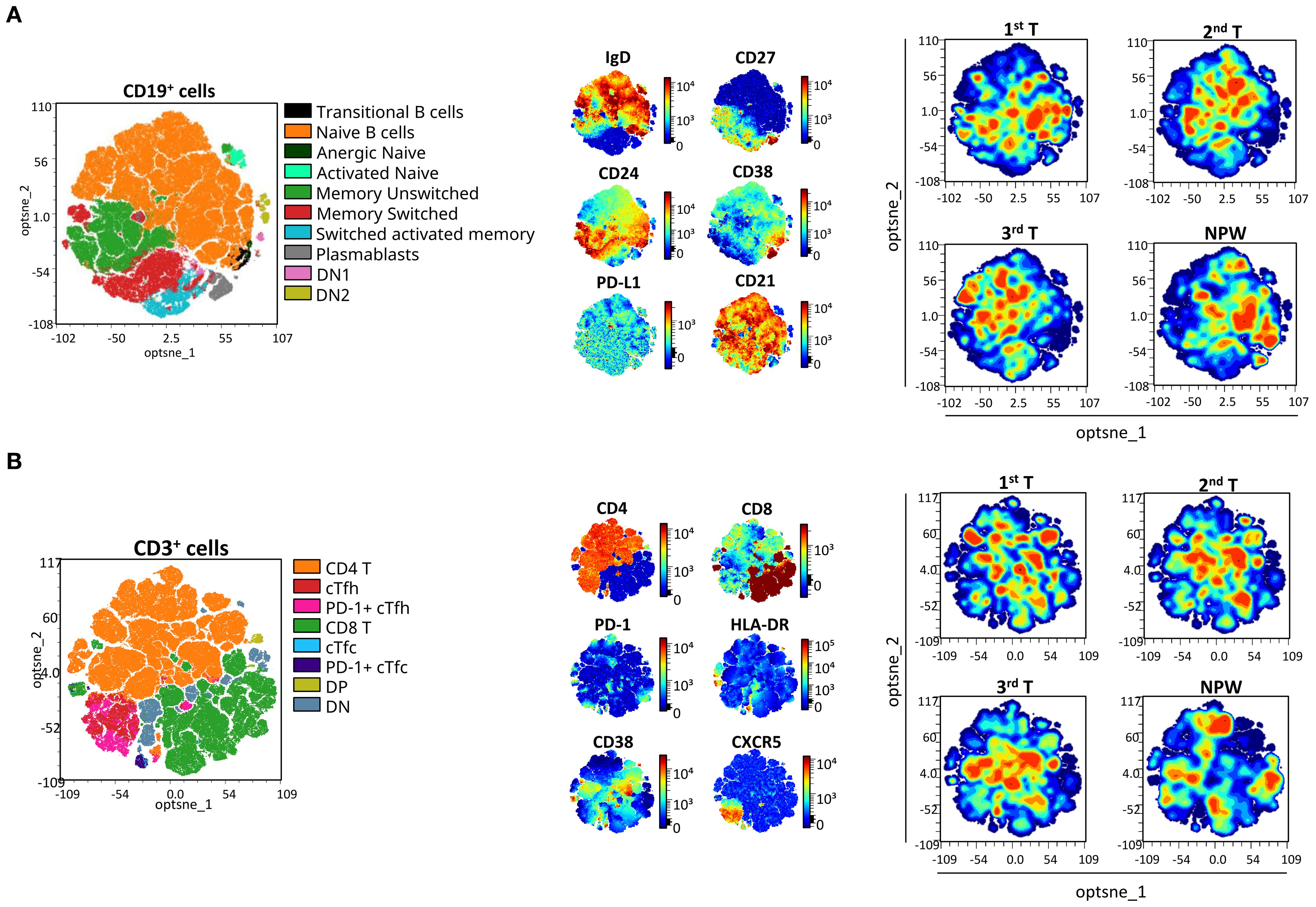 Two panels showing t-distributed stochastic neighbor embedding (t-SNE) plots of CD19+ and CD3+ cells with color-coded clusters. Panel A shows CD19+ B cell subsets with markers IgD, CD27, CD24, CD38, PD-L1, and CD21. Panel B shows CD3+ T cell subsets with markers CD4, CD8, PD-1, HLA-DR, CD38, and CXCR5. Each marker plot is accompanied by expression heat maps and sequential treatment comparisons labeled 1st T, 2nd T, 3rd T, and NPW.