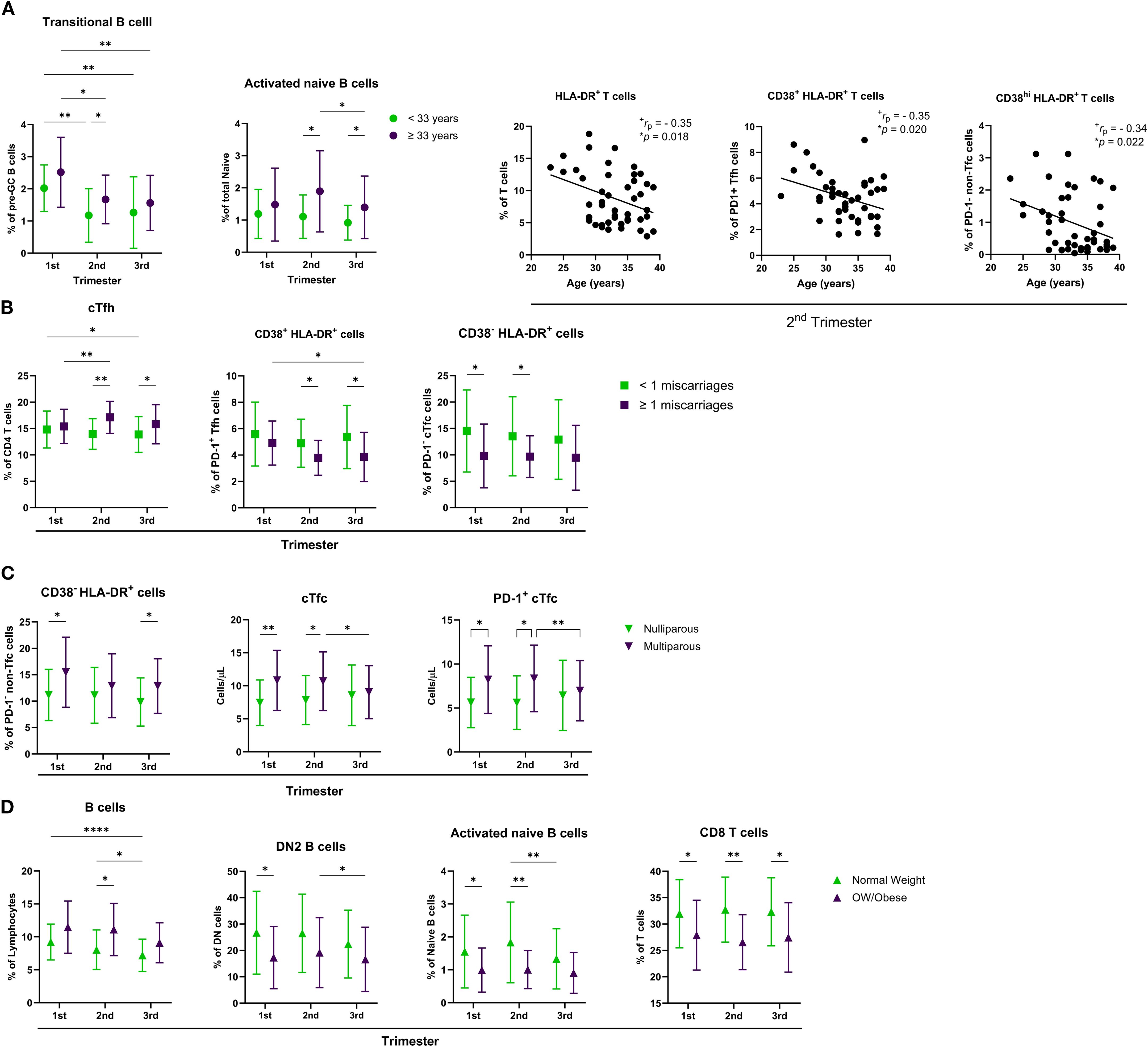 Graphs illustrating immune cell subsets at different trimesters in pregnant women. Panel A compares B and T cell levels based on age. Panel B shows percentages of CD4 T cells, CD38^+ HLA-DR^+ cells, and PD-1^+ Tfh cells among women with differing miscarriage histories. Panel C depicts CD38^+ HLA-DR^+ cells, cTfc, and PD-1^+ cTfc in nulliparous and multiparous women. Panel D compares B cells, DN2 B cells, activated naive B cells, and CD8 T cells among women of varying weights. Error bars represent data variability; asterisks indicate statistical significance.