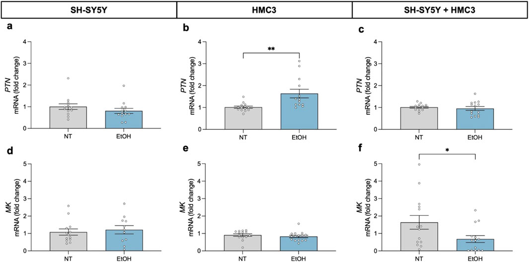 Bar graphs depicting PTN and MK mRNA fold changes in SH-SY5Y, HMC3, and combined SH-SY5Y + HMC3 cells with non-treated (NT) and ethanol (EtOH) conditions. Significant changes denoted by asterisks. Panels a-c show PTN data, while d-f show MK data.