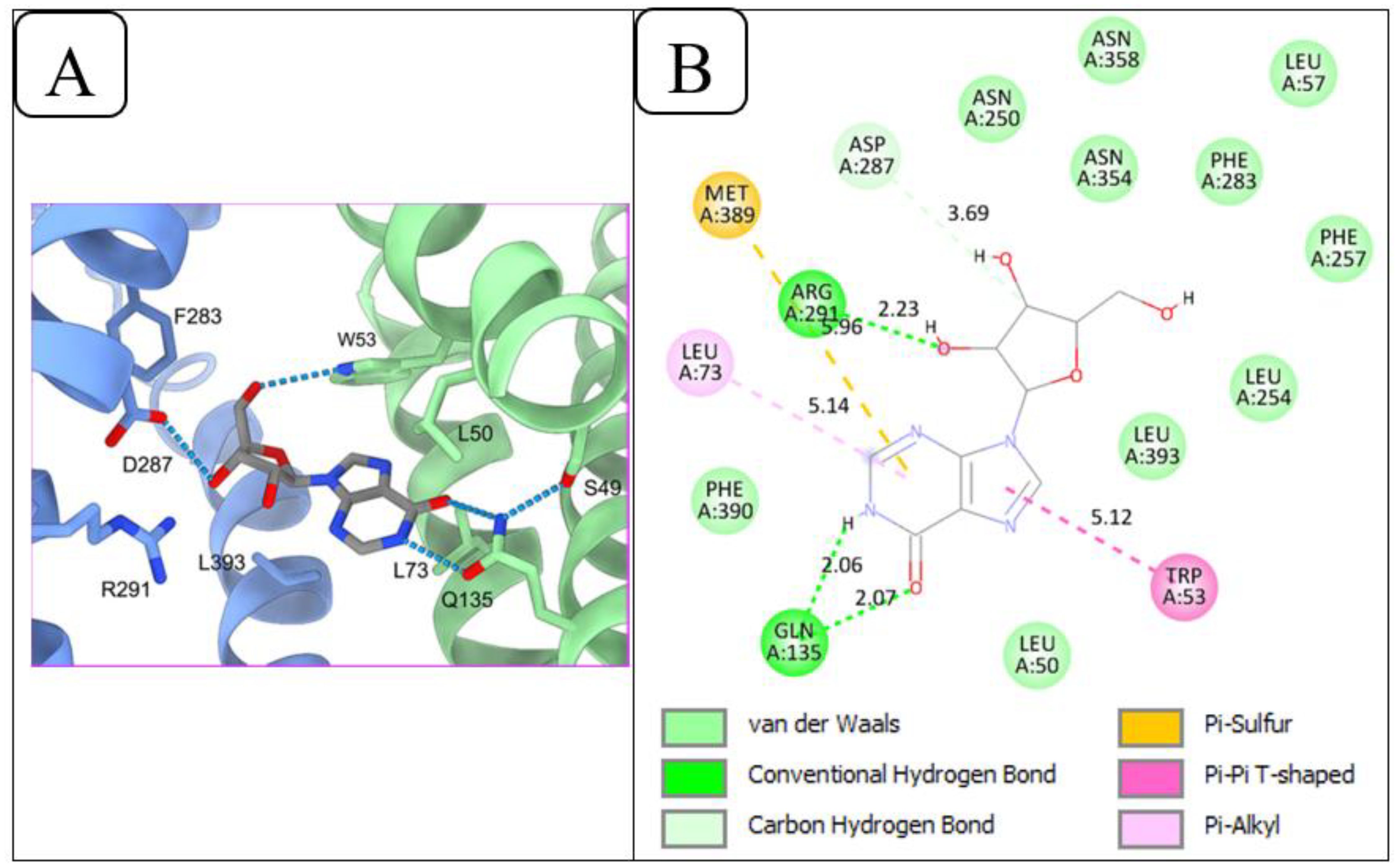 Panel A shows a molecular structure with residues as blue and green spirals, highlighting interactions with labeled amino acids: F283, D287, R291, W53, L50, S49, L393, L73, Q135. Panel B illustrates a 2D interaction diagram displaying various residues with color-coded interactions: van der Waals (green), conventional hydrogen bonds (blue), carbon hydrogen bonds (red), and specialized interactions (pink and yellow). Specific distances in angstroms are indicated.