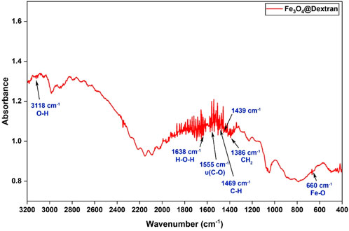 FTIR spectrum of Fe3O4@Dextran with absorbance on the y-axis and wavenumber on the x-axis ranging from 400 to 3200 cm⁻¹. Peaks include 3118 cm⁻¹ (O-H), 1638 cm⁻¹ (H-O-H), 1555 cm⁻¹ (C-O), 1386 cm⁻¹ (CH₂), 1439 cm⁻¹ (CH), 1469 cm⁻¹ (C-H), and 660 cm⁻¹ (Fe-O).