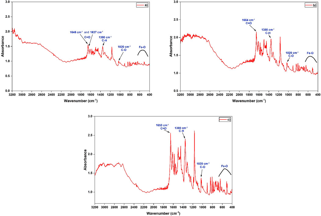 Three infrared spectra graphs showing absorbance versus wavenumber in centimeters inverse. Graph (a) highlights peaks at 1646, 1637 (C=O), 1380 (C-H), and 1020 (C-O) cm⁻¹ with an Fe-O region. Graph (b) displays peaks at 1654 (C=O), 1380 (C-H), and 1020 (C-O) cm⁻¹ with an Fe-O region. Graph (c) shows peaks at 1653 (C=O), 1380 (C-H), and 1020 (C-O) cm⁻¹ with an Fe-O region. Each graph's data is represented by a red line.