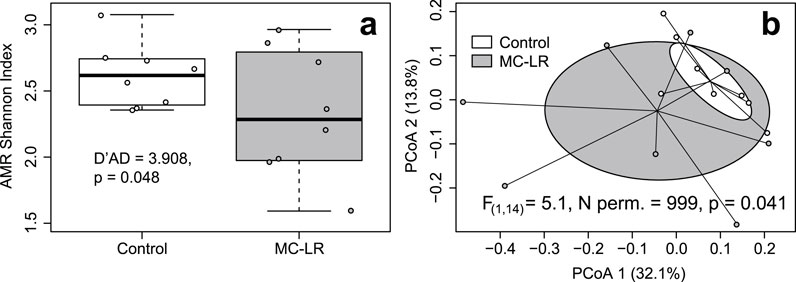 Chart a is a box plot comparing AMR Shannon Index between Control and MC-LR groups, showing higher varience in MC-LR. Chart b is a PCoA plot illustrating microbial community differences between the groups, with a significant difference in multivariate dispersions evident.