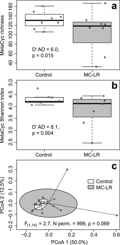 Three-panel data visualization. Panel a: Box plots comparing MetaCyc richness between Control and MC-LR groups. The Control group shows higher variance, D’AD equals 6.0, p-value equals 0.015. Panel b: Box plots of MetaCyc Shannon index, with the Control group showing higher variance, D’ AD equals 8.1, p-value equals 0.004. Panel c: Principal coordinates analysis (PCoA) plot with ellipses representing Control and MC-LR groups. PCo one accounts for 50 percent and PCo two for 12.5 percent of variance. MC-LR birds had marginally greater multivariate dispersion. Fstatistic equals 2.7, p-value equals 0.069.