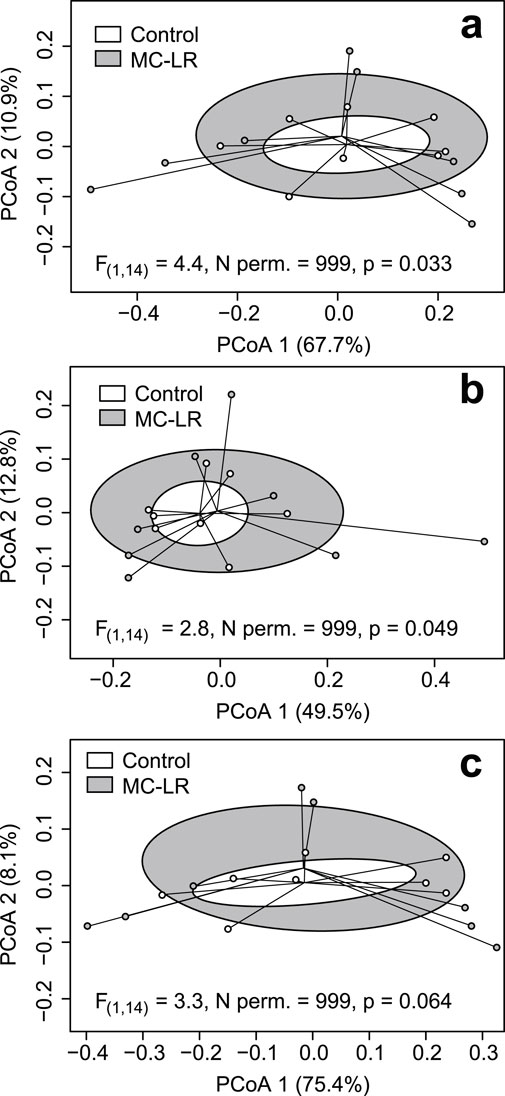 Three panels (a, b, c) showing Principal Coordinates Analysis (PCoA) plots comparing control and MC-LR treatments. Ellipses indicate the confidence regions for each group. Each panel has specific PCo1, PCo2 percentages, F-value, permutations, and p-values. Panel a: PCo1 at 67.7%, PCo2 at 10.9%, F=4.4, p=0.033. Panel b: PCo1 at 49.5%, PCo2 at 12.8%, F=2.8, p=0.049. Panel c: PCo1 at 75.4%, PCo2 at 8.1%, F=3.3, p=0.064. In all three cases, MC-LR birds have greater multivariate dispersion. Control is marked with white and MC-LR with gray.