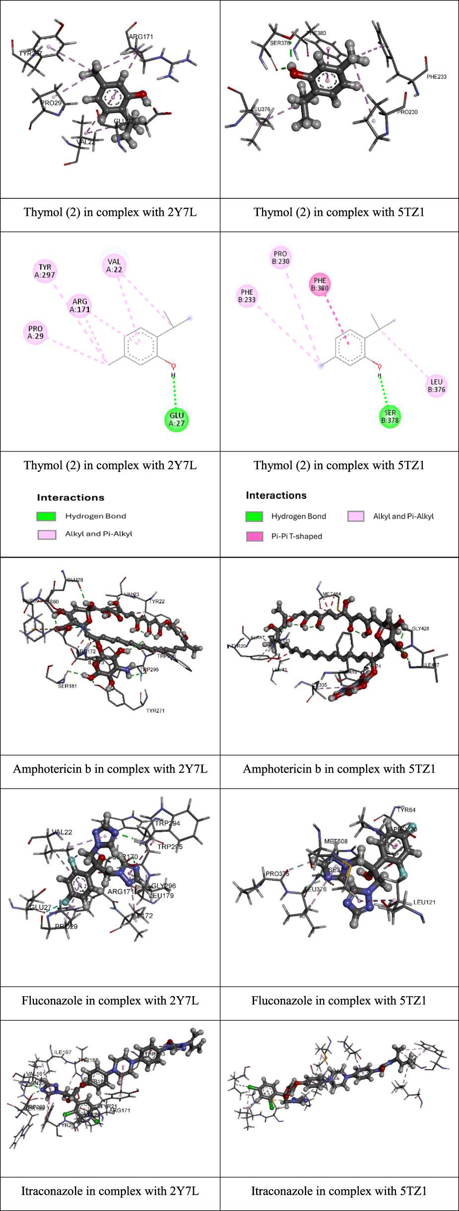 Molecular models show interactions of Thymol, Amphotericin B, Fluconazole, and Itraconazole with complexes 2Y7L and 5TZ1. Each set visualizes different types of chemical bonding, including hydrogen, alkyl, and pi-alkyl interactions. Interaction diagrams are highlighted in different colors, with specific amino acids labelled in circles, indicating points of interaction in the complexes.