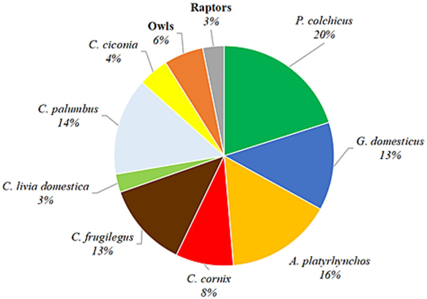 Pie chart showing percentages of different bird species. P. colchicus: 20%, A. platyrhynchos: 16%, C. palumbus: 14%, G. domesticus: 13%, C. frugilegus: 13%, C. cornix: 8%, Owls: 6%, C. ciconia: 4%, C. livia domestica: 3%, Raptors: 3%.