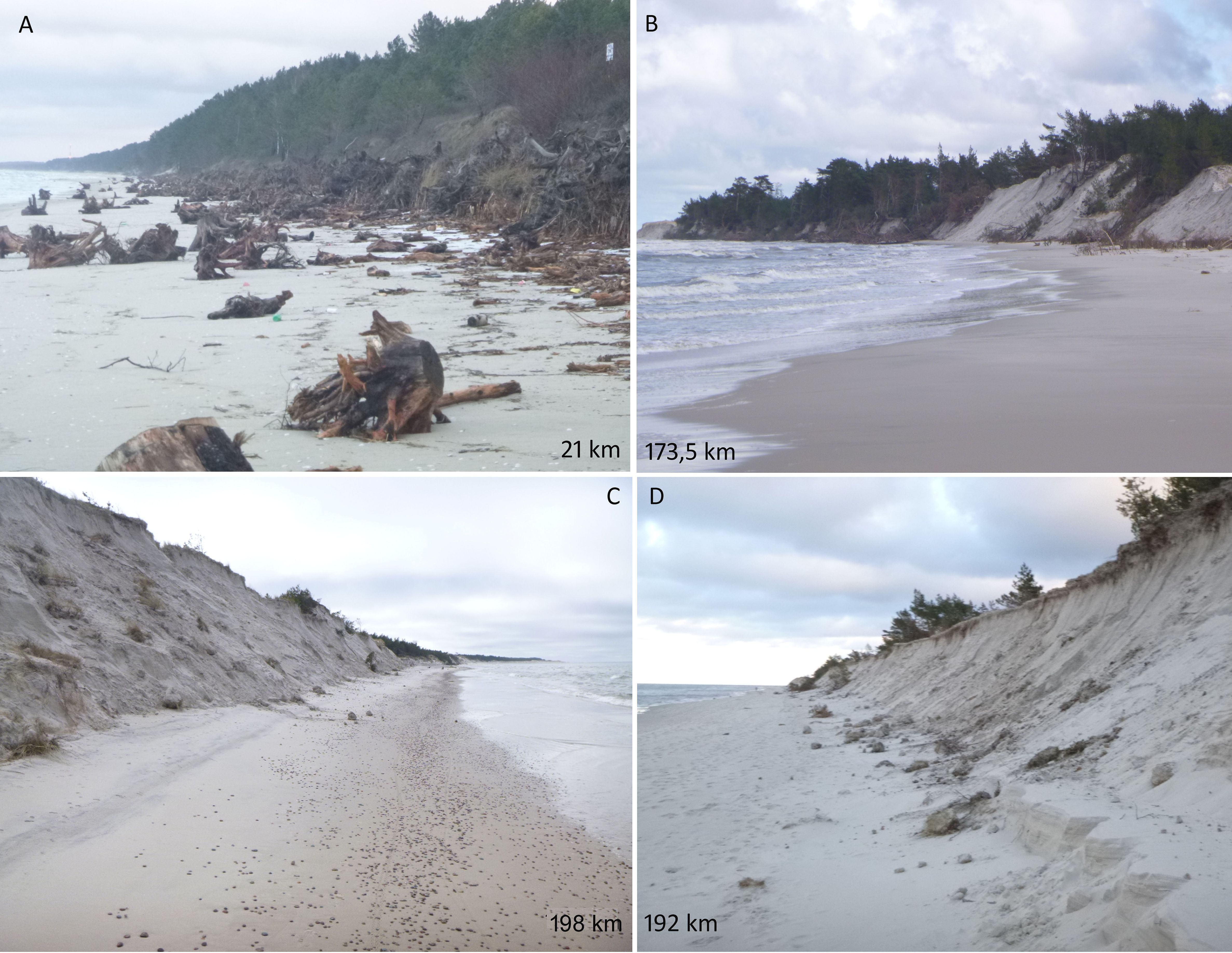 Four coastal images labeled A, B, C, and D show different beach conditions. Image A, at 21 kilometers, features a sandy shore with tree debris. Image B, at 173.5 kilometers, shows a wide sandy beach with cliffs in the background. Image C, at 198 kilometers, presents a sandy beach with steep dunes. Image D, at 192 kilometers, displays a sandy beach adjacent to eroded dunes.