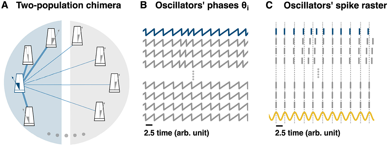 Diagram illustrating a two-population chimera. Panel A shows a two-group configuration with connections between nodes. Panel B depicts oscillators' phases as zigzag lines. Panel C displays oscillators' spike raster over time, with vertical lines representing spikes and a yellow waveform below. Time is in arbitrary units.
