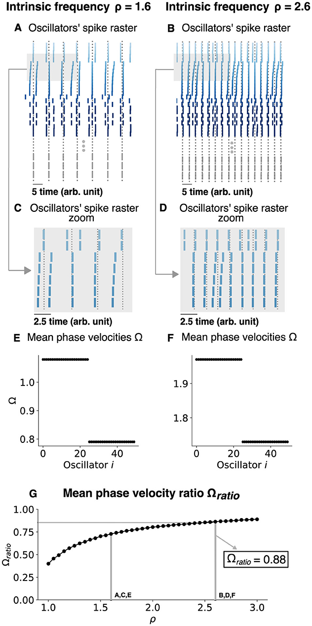 Panels show spike raster plots and mean phase velocities for oscillators at intrinsic frequencies of 1.6 and 2.6. Panels A and B display spike rasters, while C and D focus on a zoomed section. E and F present mean phase velocities, illustrating differences between oscillators. Panel G shows a graph of mean phase velocity ratio, indicating a value of 0.88 at a specific frequency, demonstrating the relationship between intrinsic frequency and phase velocity.