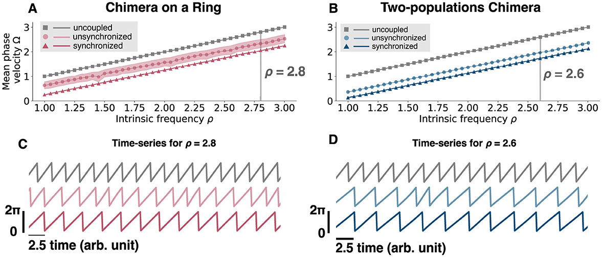Graphs demonstrating phase velocity in relation to intrinsic frequency for different states, depicted in parts A and B with lines for uncoupled (grey), unsynchronized (pink/blue), and synchronized phases. Part A shows data for a chimera on a ring at an intrinsic frequency \rho of 2.8. Part B shows data for a two-population chimera with \rho at 2.6. Parts C and D present corresponding time-series graphs for \rho values of 2.8 and 2.6 respectively, illustrating phase progression over time.