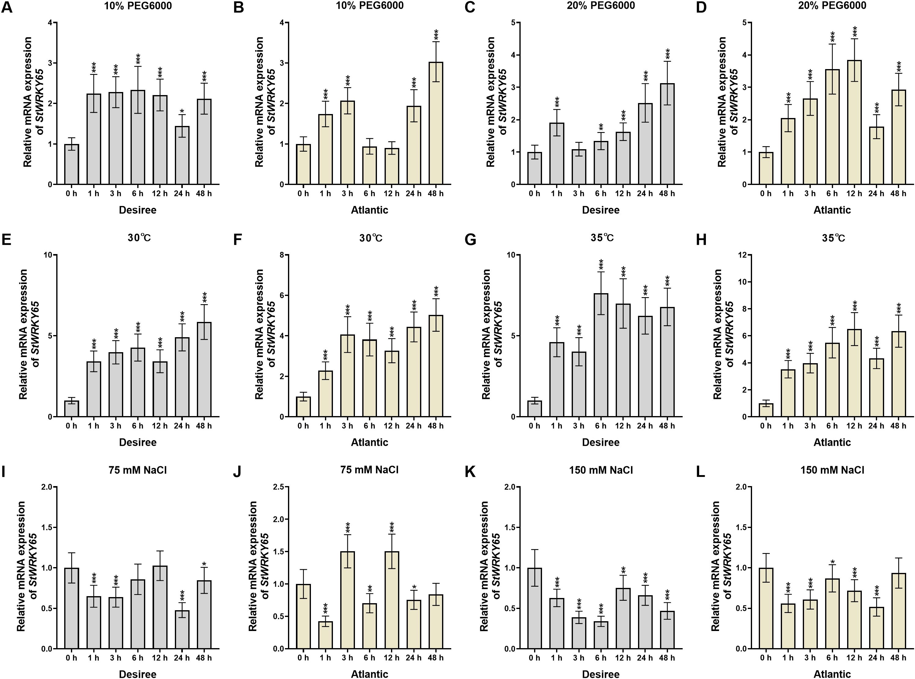 Bar graphs displaying relative mRNA expression of StWRKY65 in Desiree and Atlantic potato varieties under various stress conditions and timepoints. Conditions include treatments with 10% and 20% PEG6000, temperatures at 30°C and 35°C, and NaCl concentrations of seventy-five millimolar and one hundred fifty millimolar. Measurements are given at intervals of zero, one, three, six, twelve, twenty-four, and forty-eight hours. Each graph shows increasing or varying expression levels over time, indicated by error bars and statistical significance markers.