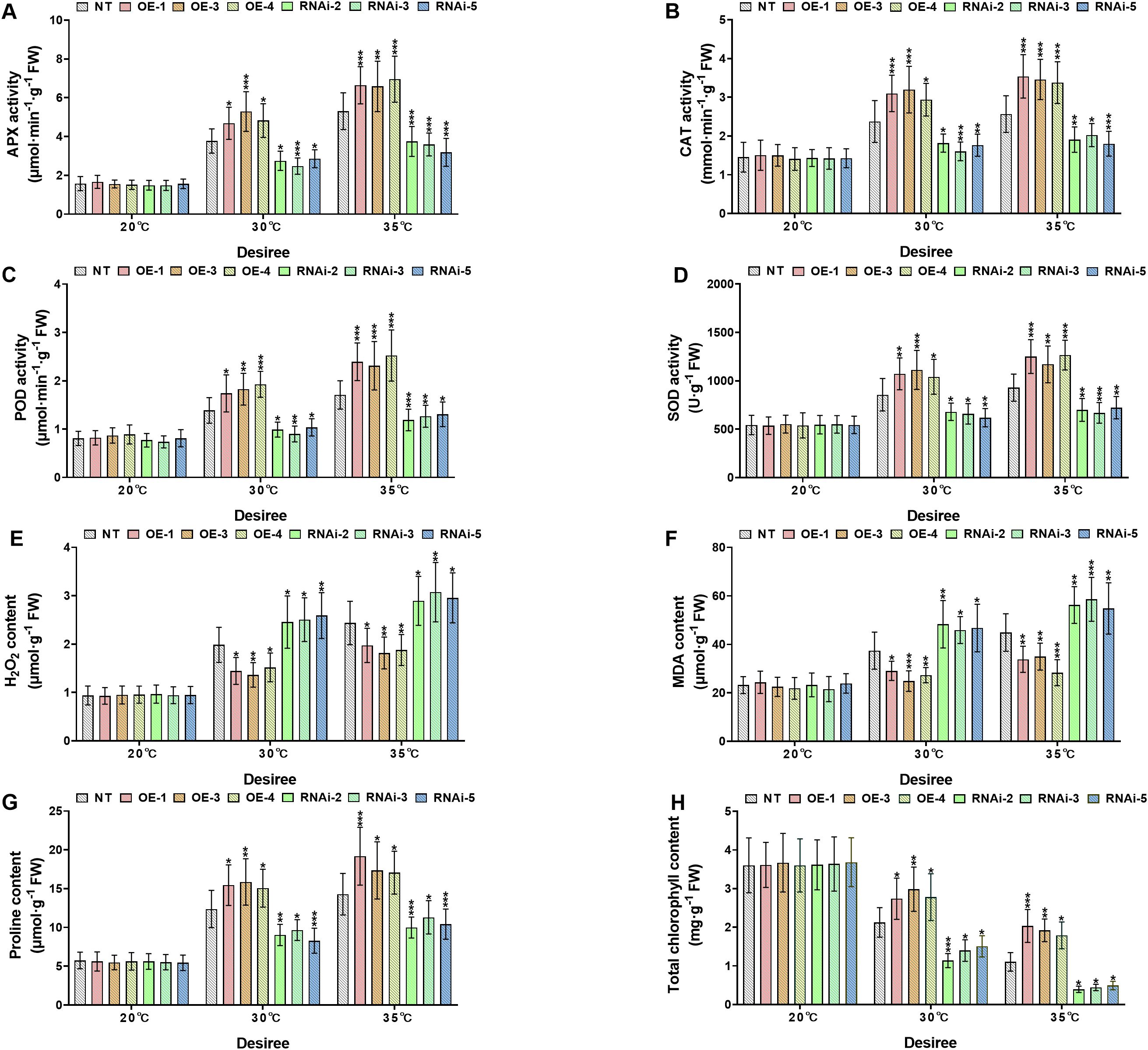 Bar charts labeled A to H display various activity levels and contents in plant samples (NT, OE, and RNAi groups) under different temperatures (20°C, 30°C, 35°C). Measurements include APX, CAT, POD, SOD activities, and H₂O₂, MDA, proline, and chlorophyll contents. Each chart shows varied responses to temperature changes across sample groups, highlighting significant differences marked with asterisks.