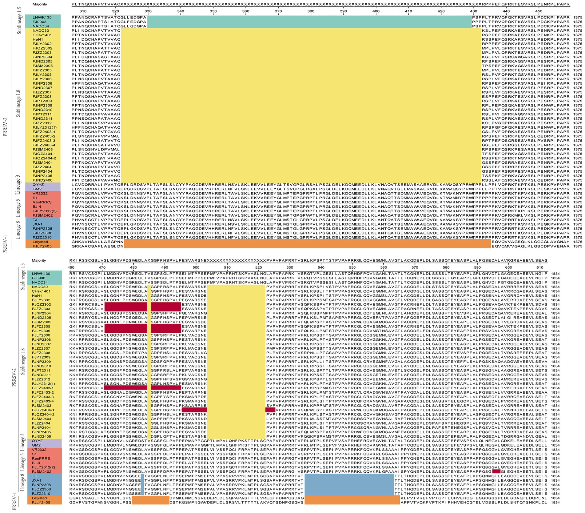 A comparative sequence alignment chart displaying amino acid sequences for different samples, labeled as Subset 5, PRRS S1, and others. It uses different colors to highlight variations in sequences, with gaps marked by yellow and specific identifiers in colored blocks on the left. Sequence indicators and sample IDs are shown on the left of each row. The sequences are visually divided in two sections aligned horizontally. Each sequence is numerically marked from left to right, with some positions marked by 'X' or highlighted for further emphasis.
