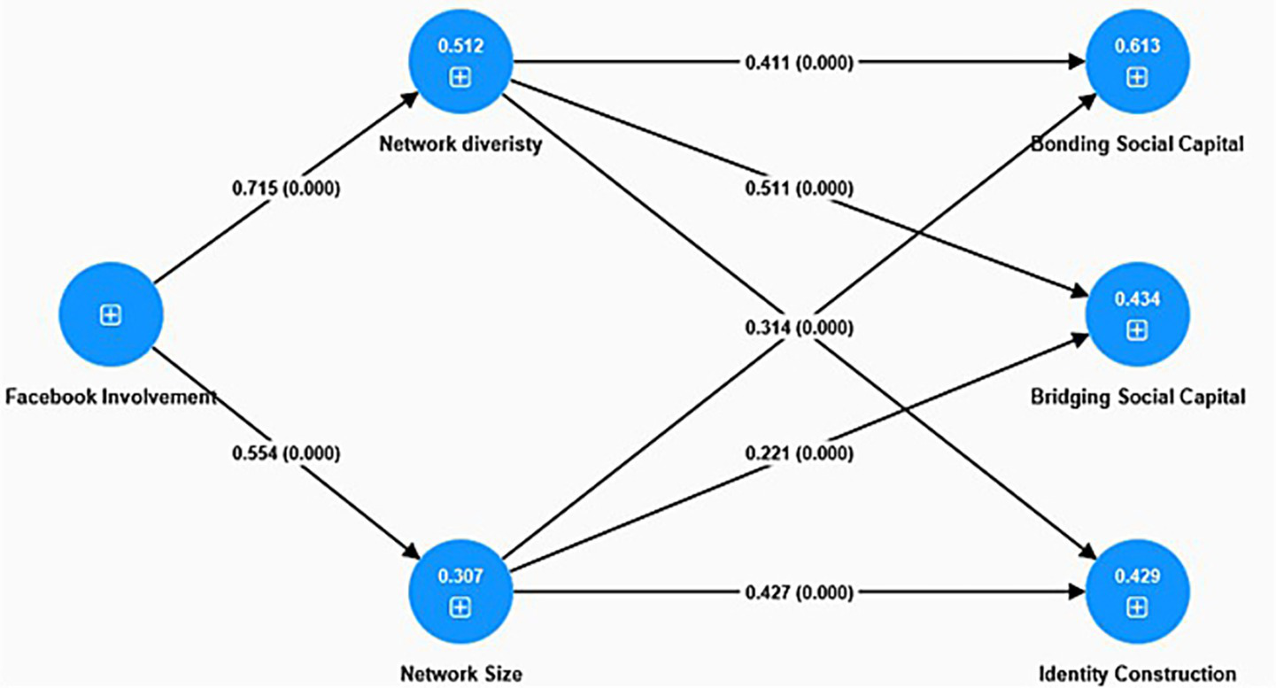 Diagram illustrating the relationships between Facebook involvement, network diversity, network size, bonding social capital, bridging social capital, and identity construction. Arrows show the influence paths with coefficients, such as Facebook involvement to network diversity (0.715) and network size (0.554). Network diversity influences bonding social capital (0.411) and bridging social capital (0.511). Network size affects identity construction (0.429). Values inside circles represent data points for each factor.