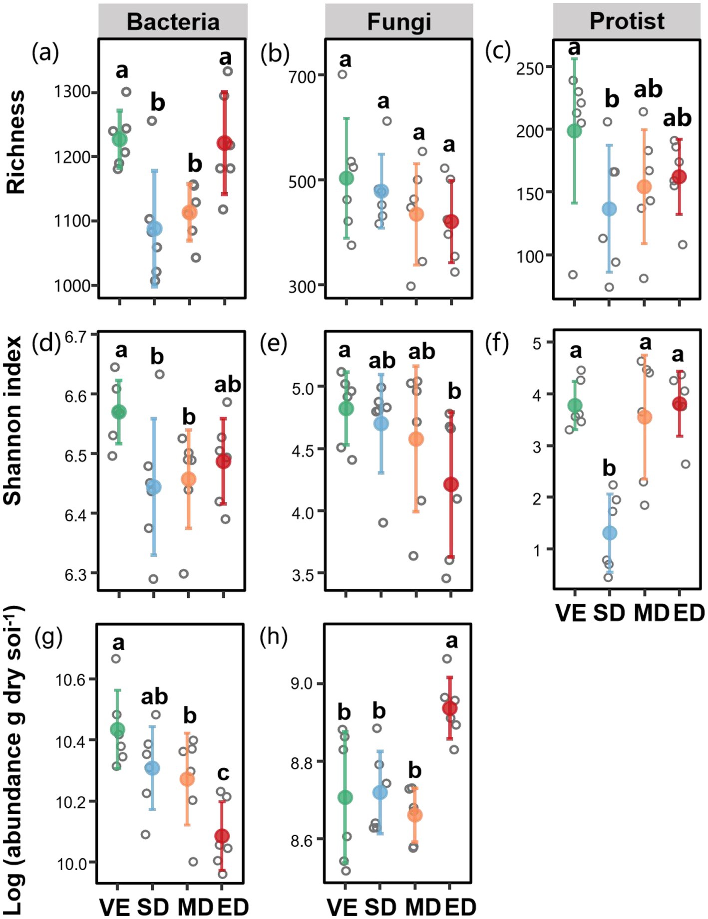 Graphs illustrating richness, Shannon index, and abundance for Bacteria, Fungi, and Protists. Panels (a) to (c) show richness; (d) to (f) Shannon index; (g) to (h) abundance. Categories VE, SD, MD, and ED are compared, with significance indicated by letters a, b, and ab. Error bars represent variation across samples.