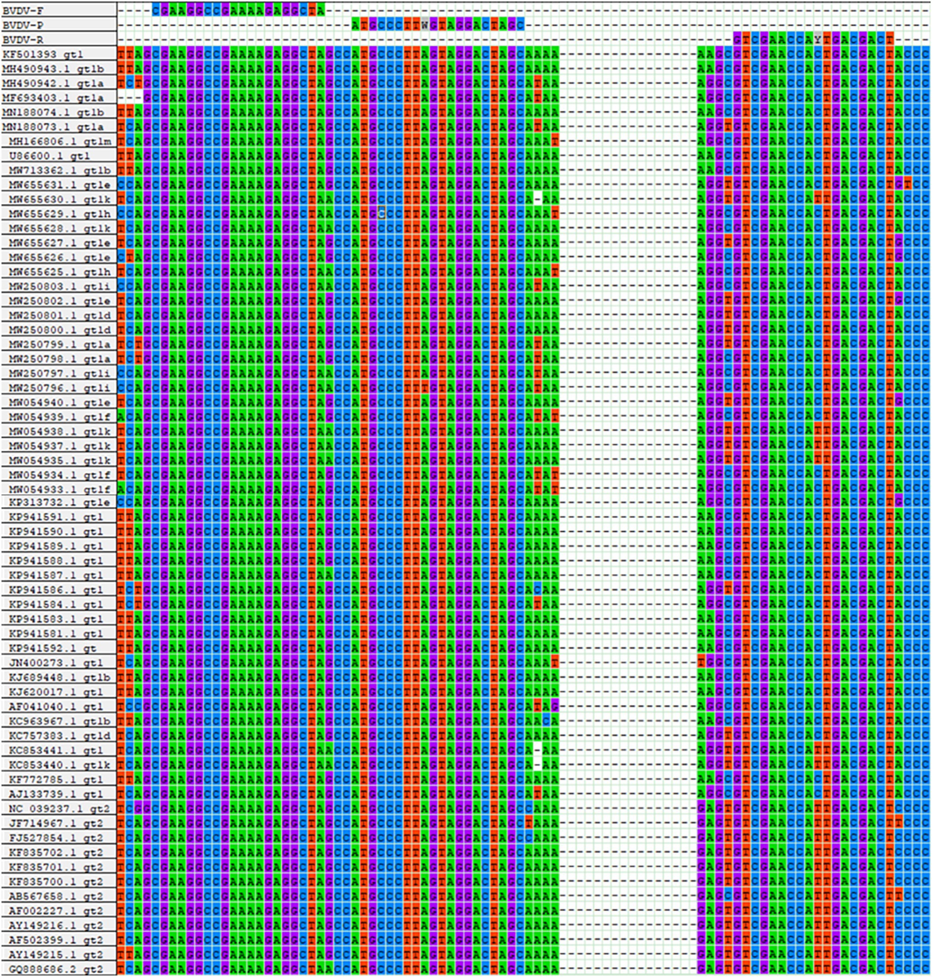 Alignment chart displaying nucleotide sequences in a color-coded format. Each column shows variations across different sequences with colors representing specific nucleotides. Labels on the left identify each sequence entry.