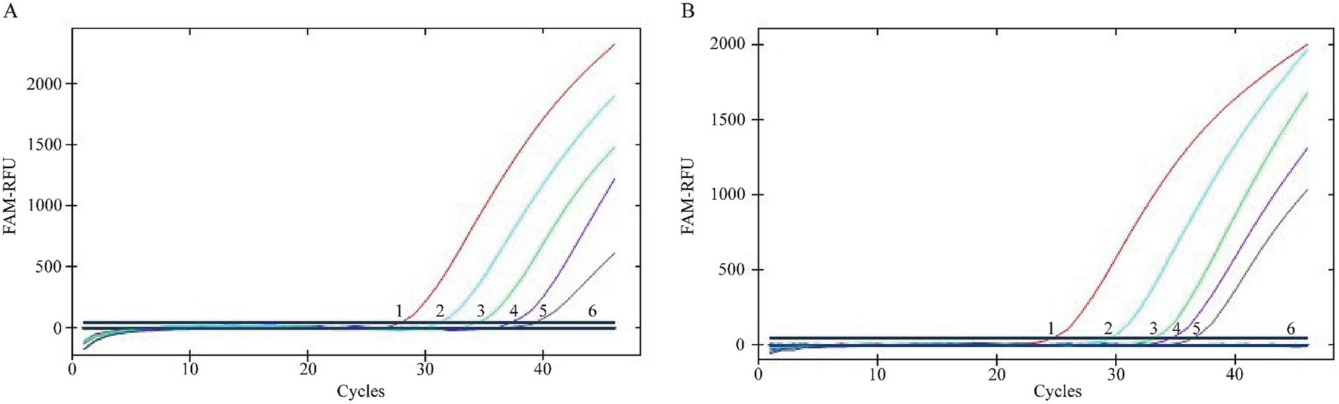 Two graphs labeled A and B depict fluorescence signal (FAM-RFU) versus cycle number. Both show six colored curves (red, blue, green, purple, black) increasing exponentially after cycle 20, indicating different reaction efficiencies. The y-axis ranges from 0 to 2000 FAM-RFU, and the x-axis ranges from 0 to 45 cycles.