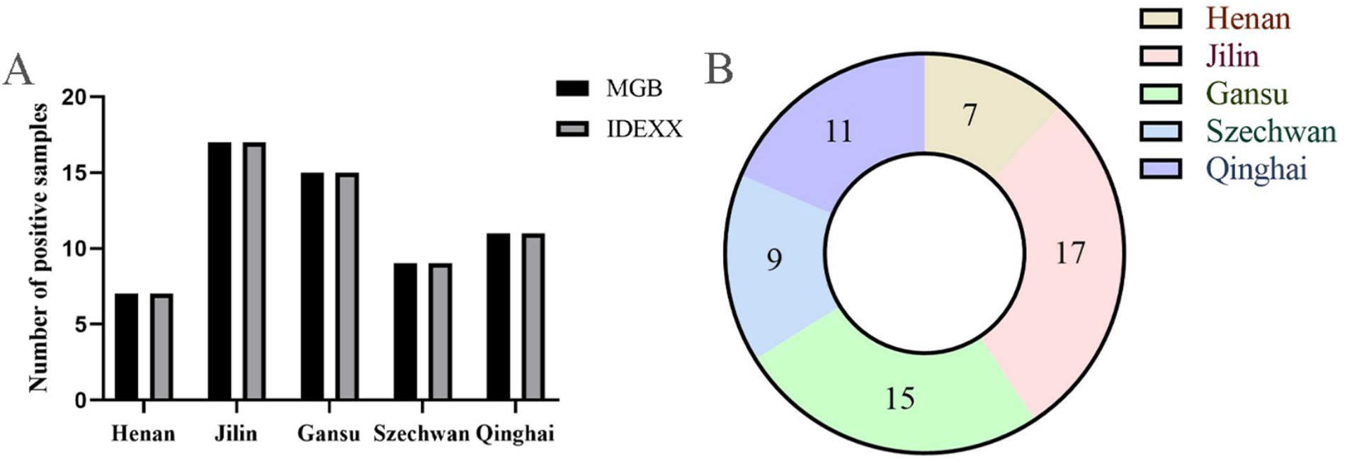 Bar and donut charts compare the number of positive samples from five regions: Henan, Jilin, Gansu, Szechwan, and Qinghai. Chart A shows higher samples for Jilin and Gansu with MGB and IDEXX. Chart B has segments labeled with numbers representing each region: Henan (7), Jilin (17), Gansu (15), Szechwan (9), and Qinghai (11).