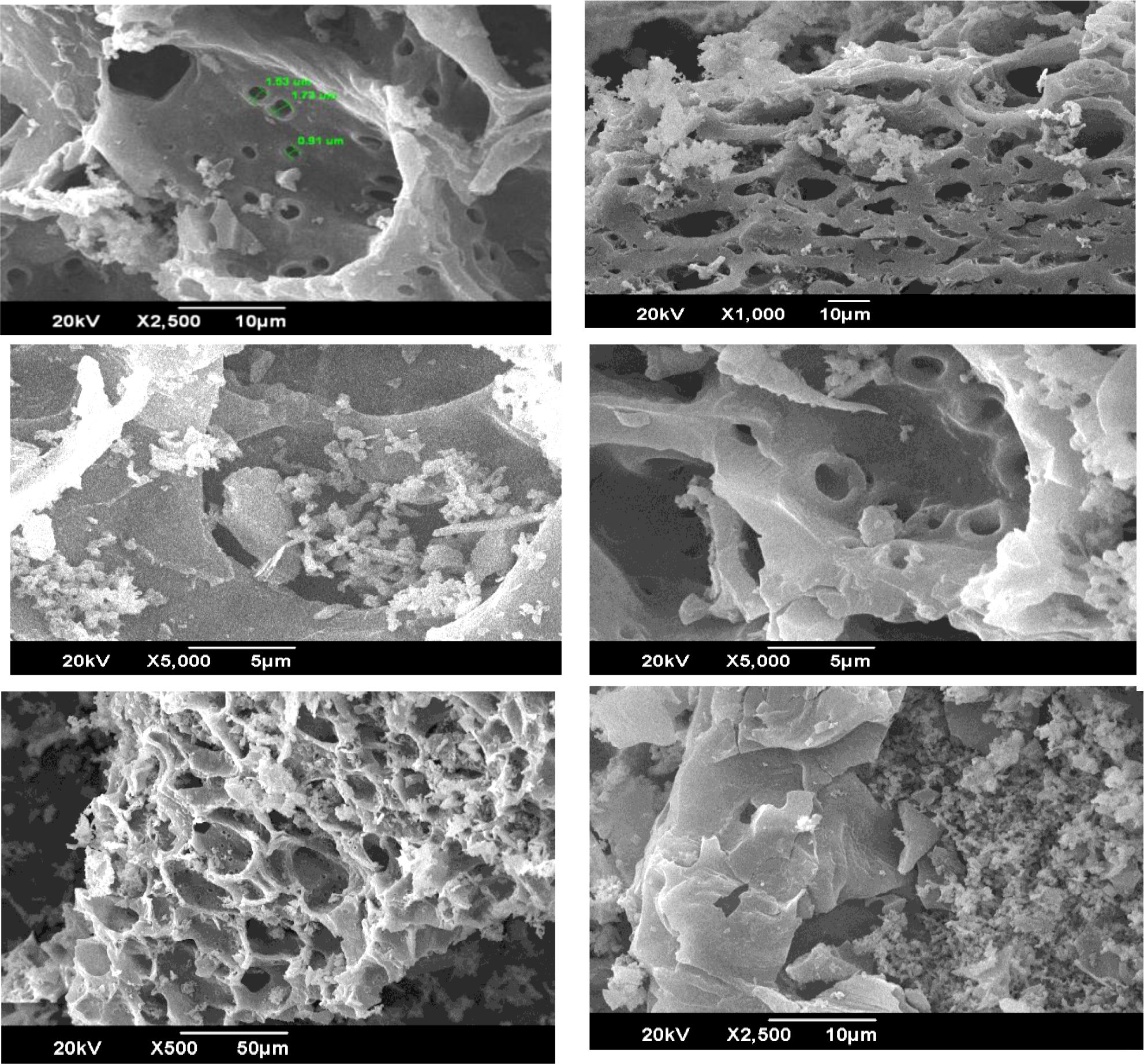 Six scanning electron microscope images showing porous structures at various magnifications and scales: 2500x with annotations, 1000x, 5000x twice, 500x, and a final 2500x image, all with varying degrees of visible detail.