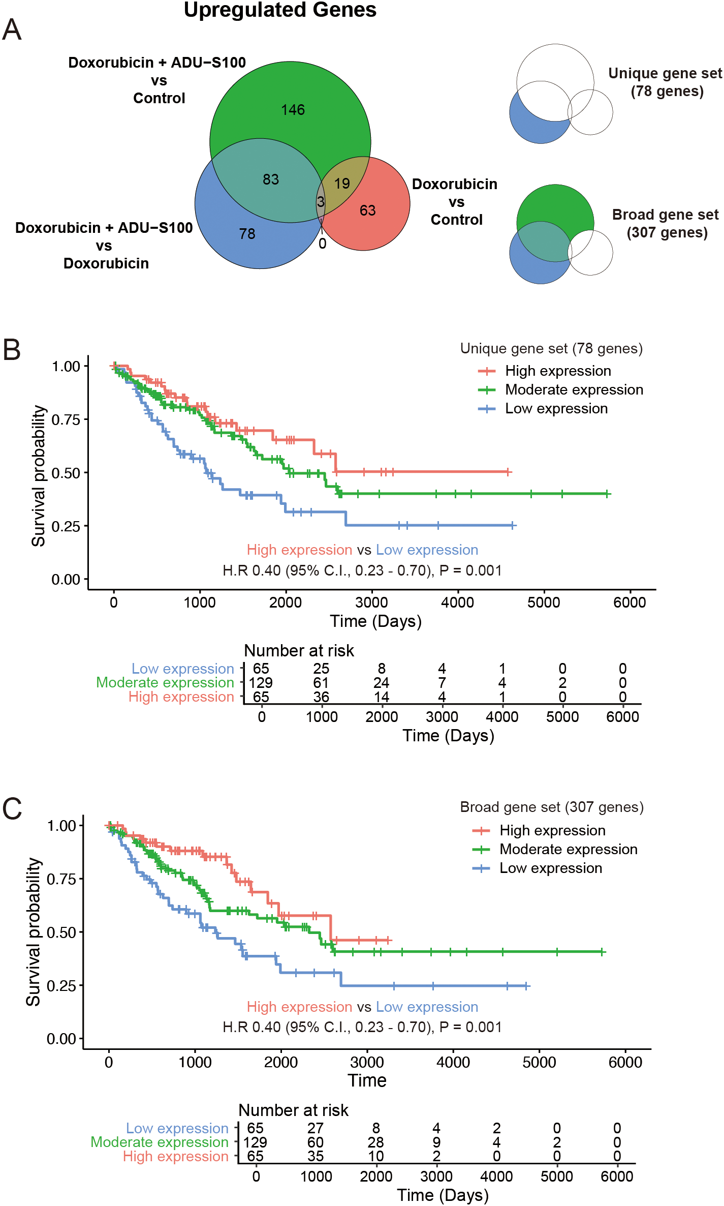 Venn diagram and Kaplan-Meier survival curves. Panel A shows a Venn diagram of upregulated genes across three comparisons: Doxorubicin plus ADU-S100 vs control (green), Doxorubicin vs control (red), and Doxorubicin plus ADU-S100 vs Doxorubicin (blue). Two subsets, unique gene set with seventy-eight genes and broad gene set with three hundred seven genes, are highlighted. Panel B shows a Kaplan-Meier plot for unique gene set with survival probabilities over time for high, moderate, and low expression levels. Panel C presents a similar plot for the broad gene set. Hazard ratios and statistical significance are noted.