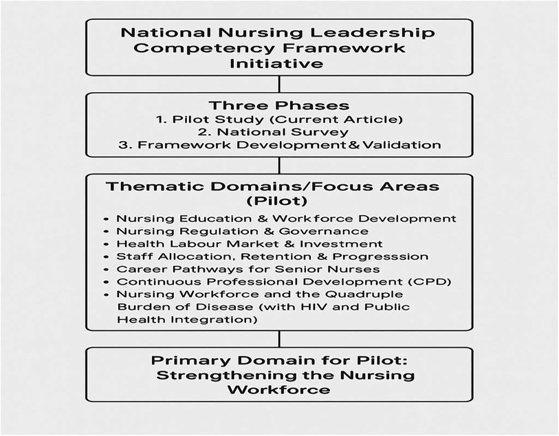 National Nursing Leadership Competency Framework Initiative diagram with three phases: Pilot Study, National Survey, and Framework Development. Thematic domains include nursing education, regulation, health labor market, staff allocation, career pathways, CPD, and disease burden. The primary domain is strengthening the nursing workforce.