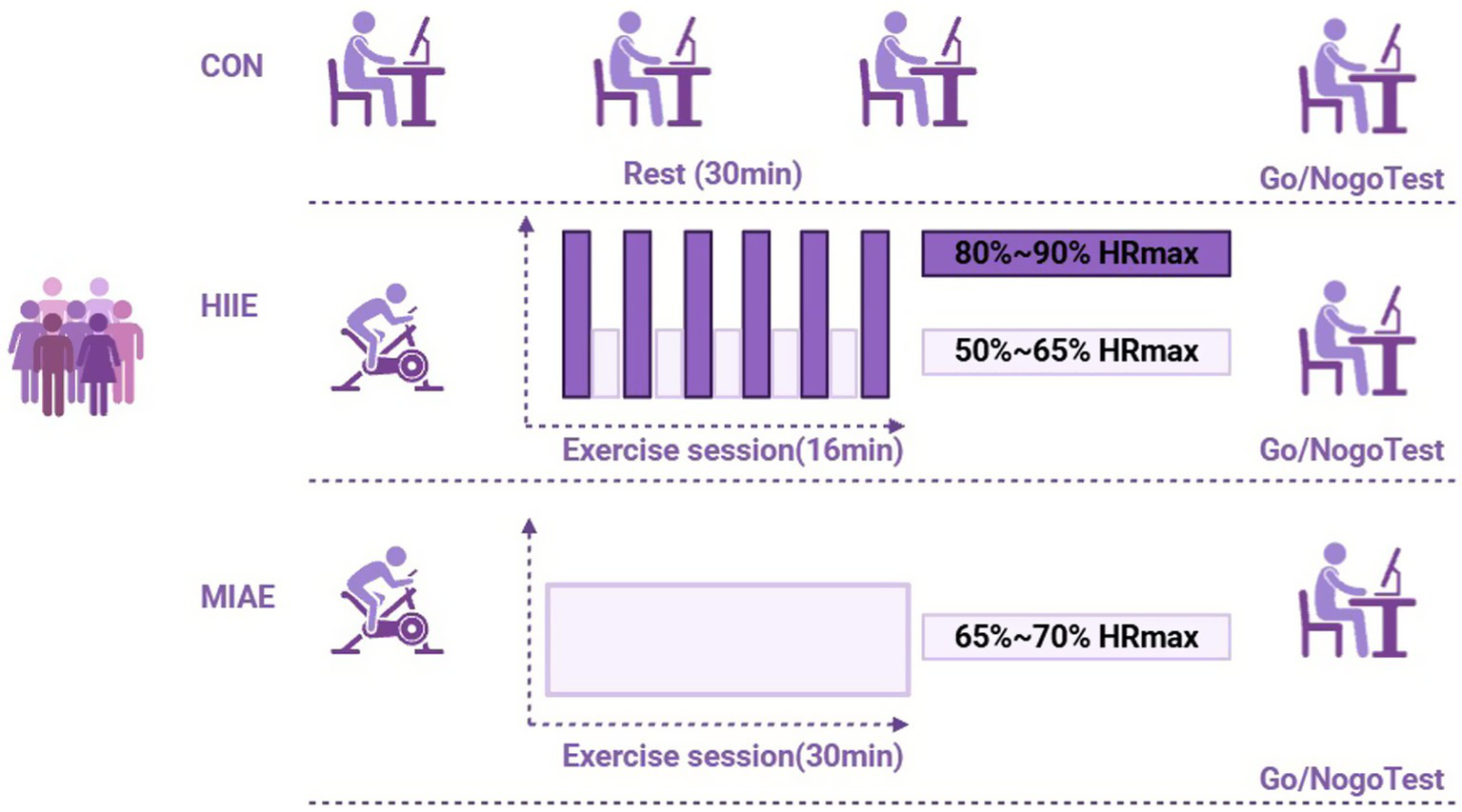Flowchart depicting two exercise protocols: HIIE with a 30-minute rest, a 15-minute session alternating between 80-90% and 50-65% HRmax, followed by a Go/NoGo test. MIAE includes a 30-minute session at 65-70% HRmax, also followed by a Go/NoGo test. Warm-ups are included at the start of each session.