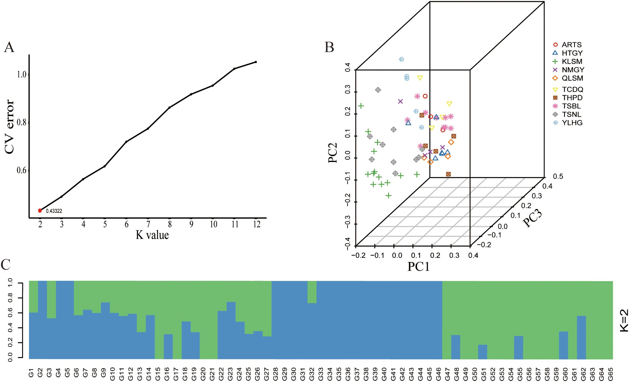 Graph A shows a line chart of CV error against K values from 2 to 12, with the lowest error at K=2. Graph B is a 3D PCA plot with various symbols representing different categories. Graph C displays a bar chart with blue and green segments representing two groups (K=2) across samples labeled G1 to G68.