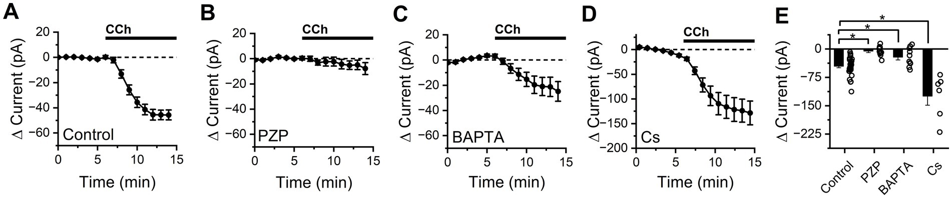 Graphs A to D display the change in current (pA) over time (minutes) produced by bath application of CCh in control conditions, or in the presence of PZP, BAPTA, or Cs. Graph E shows bar graphs comparing the change CCh-induced change in current under these conditions, with significant differences marked by asterisks.