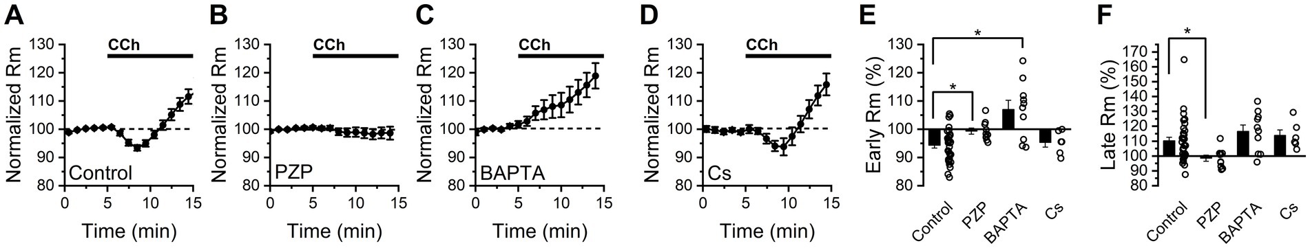 Graphs labeled A to F show normalized membrane resistance (Rm) against time in minutes and early/late Rm percentages under different conditions: Control, PZP, BAPTA, and Cs, with CCh treatment marked in each. Panels E and F provide summary data with significant differences marked with asterisks.