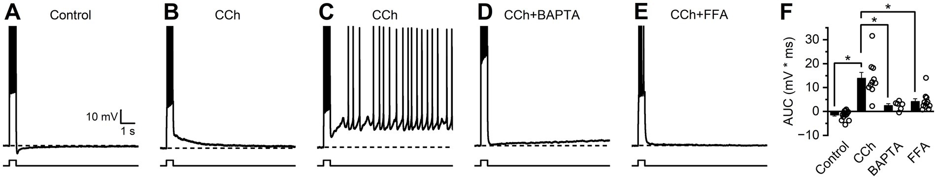 Graphs A to C display membrane potential responses to brief depolarization in current clamp under in control conditions, and in the presence of CCh, where a response with a subthreshold ADP and a response with a suprathreshold ADP are both illustrated. Panels D-E illustrate the response to the same stimulus in the presence of both CCh and BAPTA, or CCh and FFA. Panel E illustrates summary data for earlier panels, with significant differences marked by asterisks.