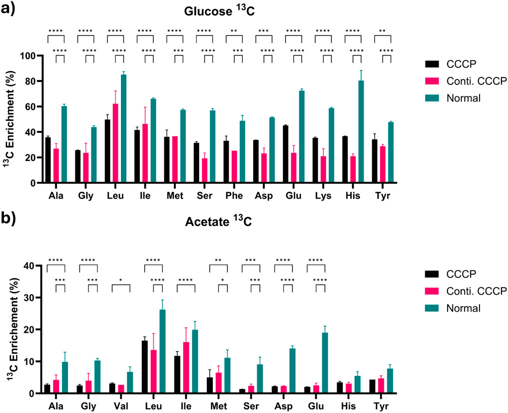 Bar charts displaying ¹³C enrichment in amino acids from two sources: a) Glucose, b) Acetate, under three conditions: CCCP (black), Conti. CCCP (pink), and Normal (teal). Significant differences are indicated with asterisks for statistical significance levels. Normal conditions show higher enrichment across most amino acids in both charts.