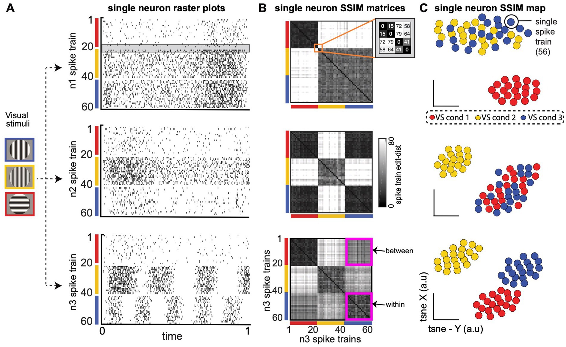 Panel A shows three raster plots of simulated single neuron spike trains in response to different visual stimuli depicted on the left. Panel B displays corresponding single neuron SSIM matrices with color-coded boundaries corresponding to the visual stimuli, illustrating changes in spike train edit distances. Panel C presents SSIM maps with clusters of dots in different colors, indicating neuronal responses across visual conditions. Labels and axes indicate variations in time, clusters, and stimulus conditions.