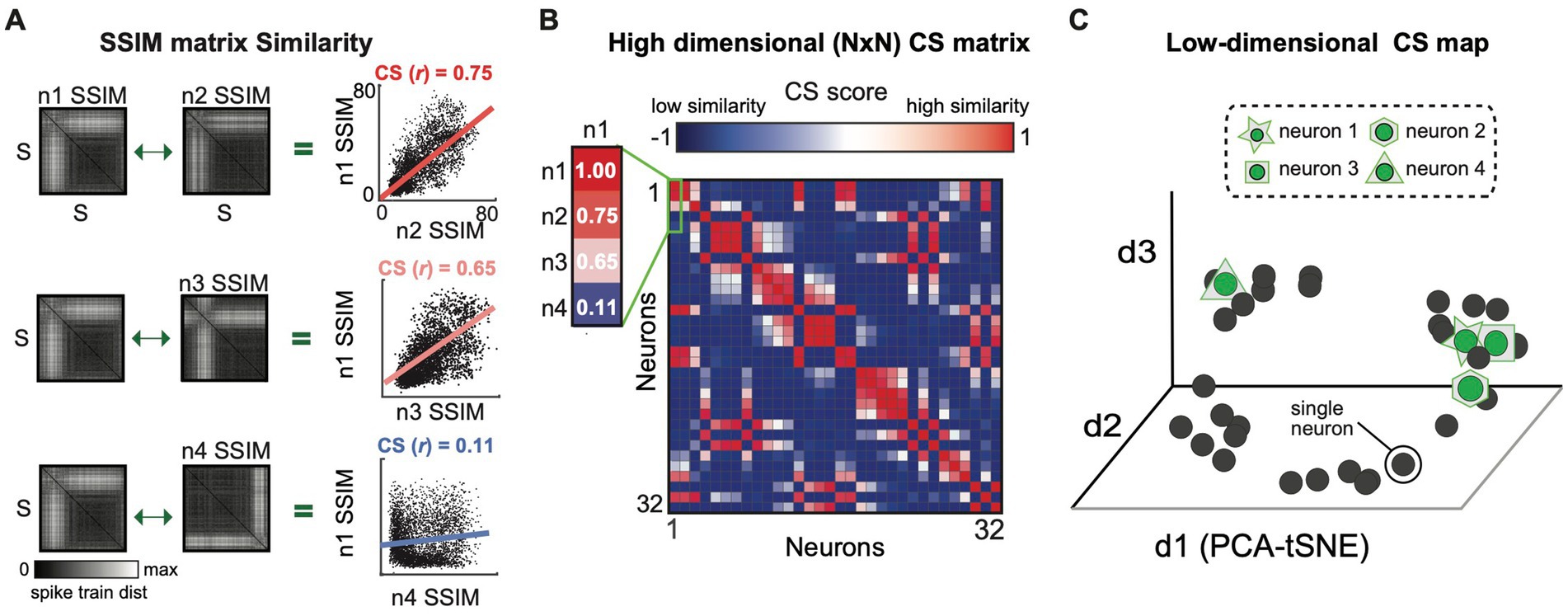 This image presents a three-part visualization of neuron similarity analysis. Part A shows SSIM matrices comparing neuron spike train distances, with correlation scores indicating similarity. Part B is a high-dimensional CS matrix, depicting neuron similarities in color gradient from blue (low) to red (high). Part C illustrates a low-dimensional CS map using PCA-tSNE, mapping neuron similarity clusters, marked with distinct icons for each neuron.