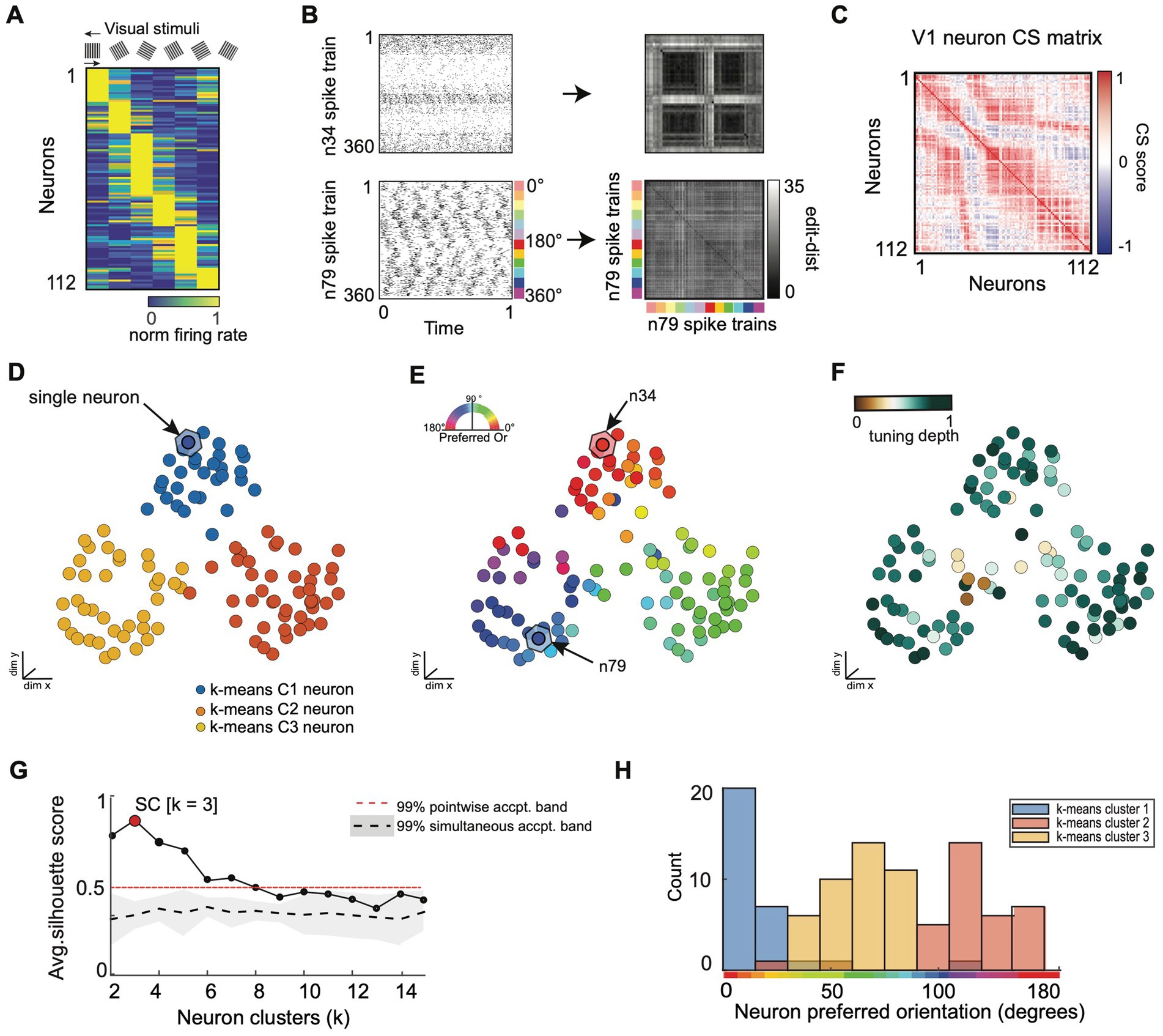 Diagram showcasing neural data analysis in multiple panels: A) Heatmap of normalized firing rates of neurons with visual stimuli. B) Spike train rasters and spike train similarity matrices. C) V1 neuron CS matrix with color-coded scores. D) Scatter plot with k-means clustering of neurons into three clusters. E) Neurons plotted by preferred orientation. F) Visualization of tuning depth across neurons. G) Graph showing average silhouette scores for neuron clusters. H) Histogram displaying counts of neuron preferred orientations for three clusters.