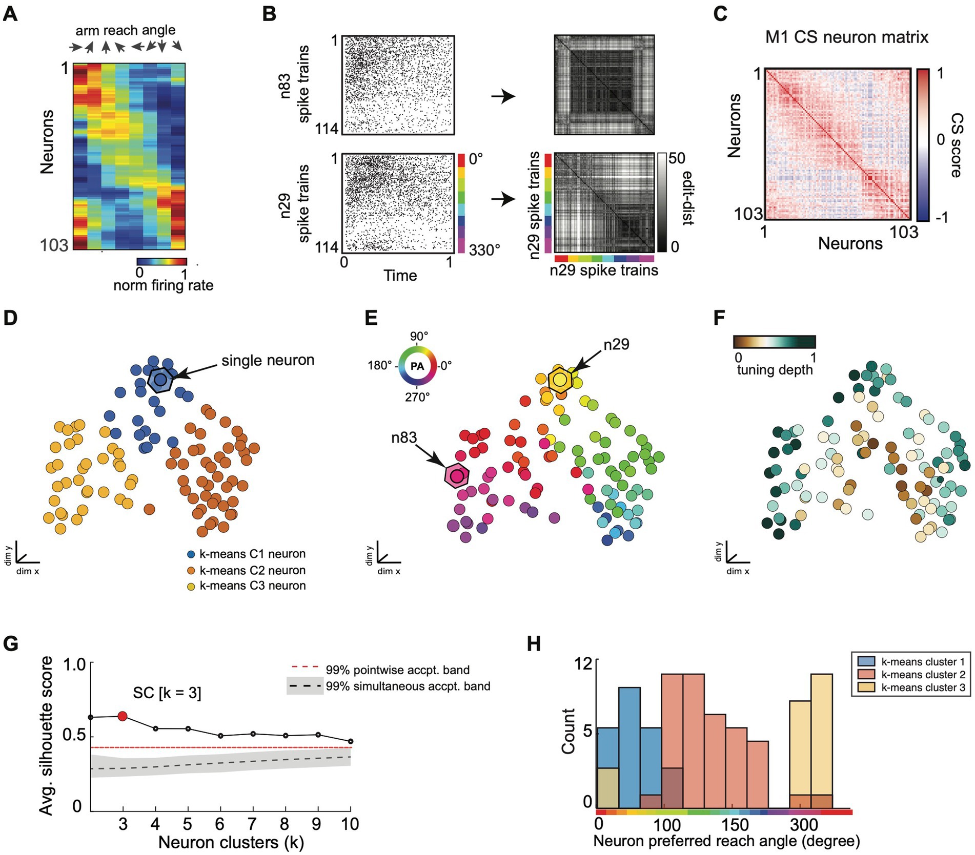 Composite image showing various data visualizations related to MI neuronal activity and clustering. A: Heatmap of normalized firing rates of neurons by arm reach angle.B: Spike train raster plots transitioning to a spike train similarity matrix. C: M1 CS matrix with color-coded scores.D: Dimensionality reduction plot illustrating k-means clustering of neurons with three clusters.E: Circular plot indicating neuron preferred angles. F: Dimensionality reduction plot showing tuning depth. G: Line graph of average silhouette scores across neuron clusters, highlighting the optimal cluster count. H: Histogram of neuron preferred reach angles by cluster, showing frequency distribution.
