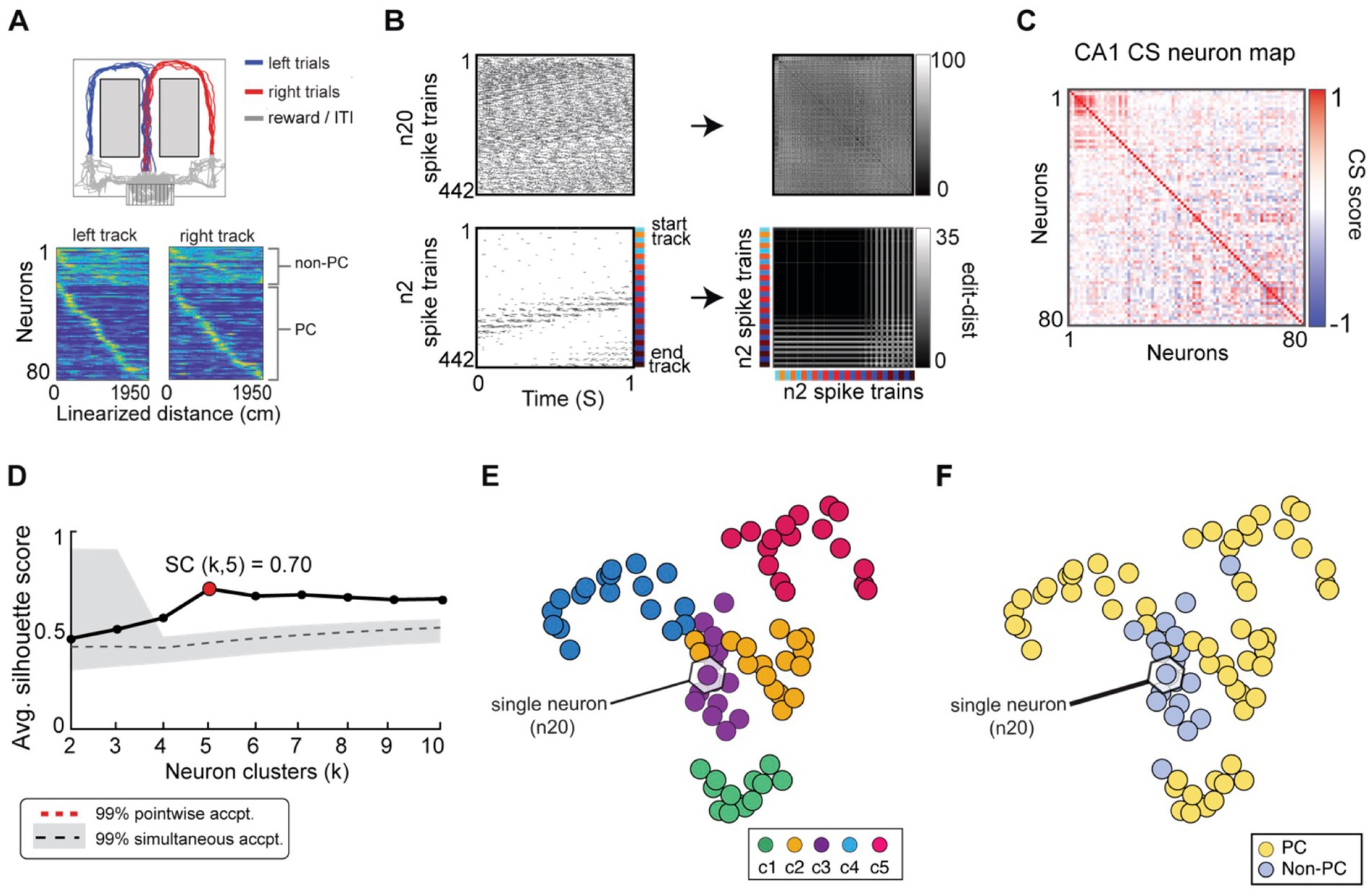 A series of six panels depicting neuron clustering and CA1 spike train data. Panel A shows paths and heat maps for left and right trials on a maze task. Panel B presents single unit raster plots and spike train similarity matrices. Panel C provides a CS matrix map with color-coded scores. Panel D includes a silhouette score graph for neuron clusters. Panel E illustrates neurons grouped in clusters highlighted with different colors. Panel F shows neurons categorized into PC and non-PC groups with distinct colors.