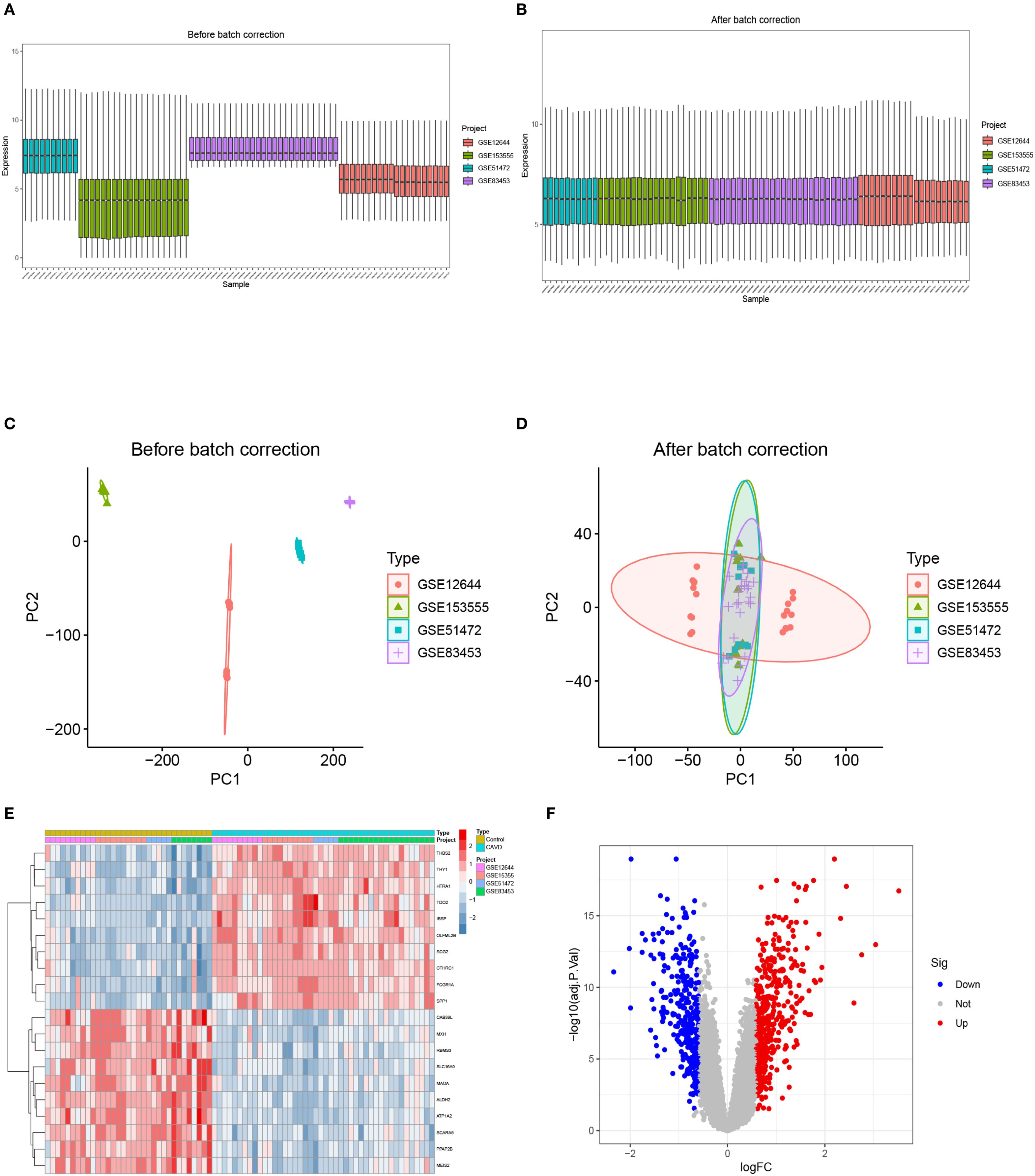 Figures A and B show box plots of gene expression data before and after batch correction, indicating improved consistency post-correction. C and D are PCA plots demonstrating sample clustering, with tighter grouping after correction. E is a heatmap of gene expression across different types, highlighting variation and clustering. F is a volcano plot displaying differentially expressed genes, with significant genes marked in blue (downregulated) and red (upregulated).
