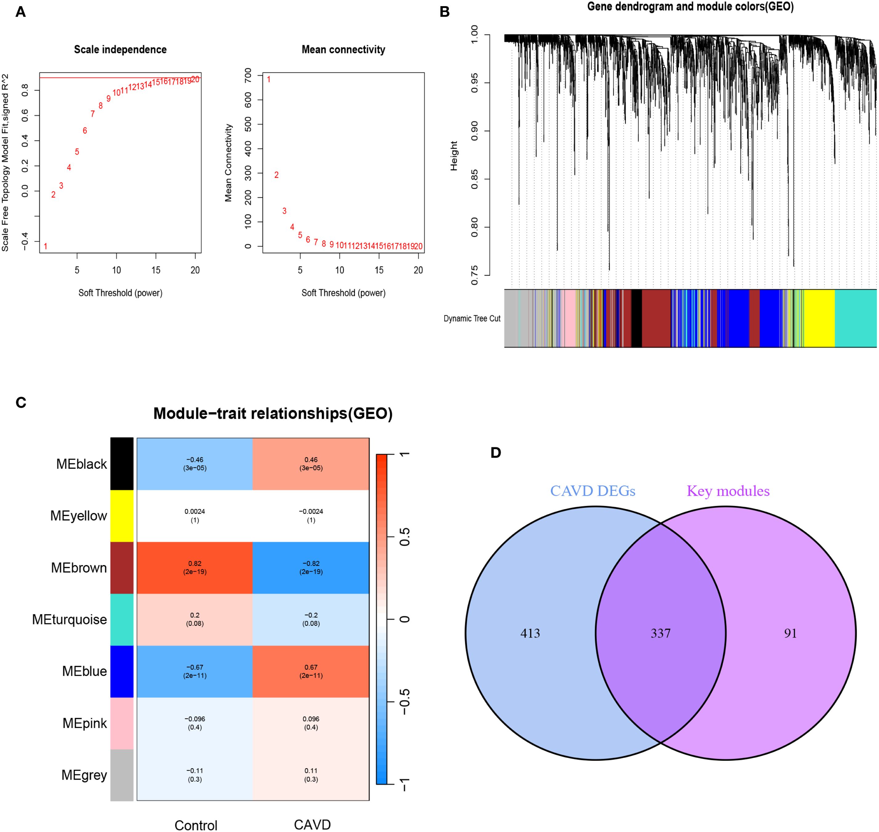 Graphical representation of a network analysis with four sections. A: Two line charts show scale independence and mean connectivity vs. soft threshold power. B: Gene dendrogram with color-coded module grouping. C: Heatmap of module-trait relationships for control and CAVD, displaying correlation values. D: Venn diagram shows overlap between CAVD DEGs and key modules, with 413 unique to CAVD, 91 to key modules, and 337 overlapping.