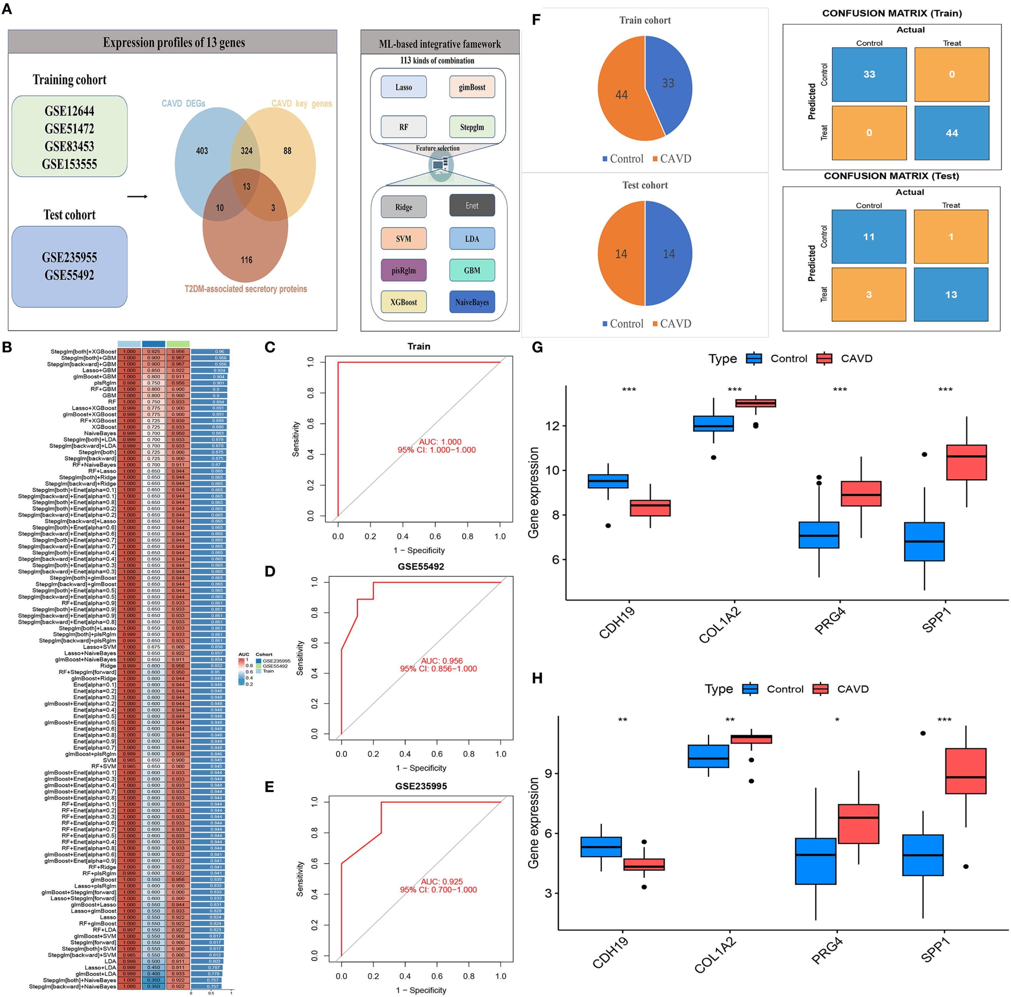 Diagram featuring multiple panels related to gene expression and machine learning. Panel A shows a Venn diagram and integrative framework. Panel B displays a heatmap of gene expression. Panels C, D, and E are ROC curves for different cohorts with AUC values noted. Panel F includes pie charts and confusion matrices for train and test cohorts. Panel G and H present box plots comparing gene expression between control and CAVD groups, showing significant differences with asterisks.