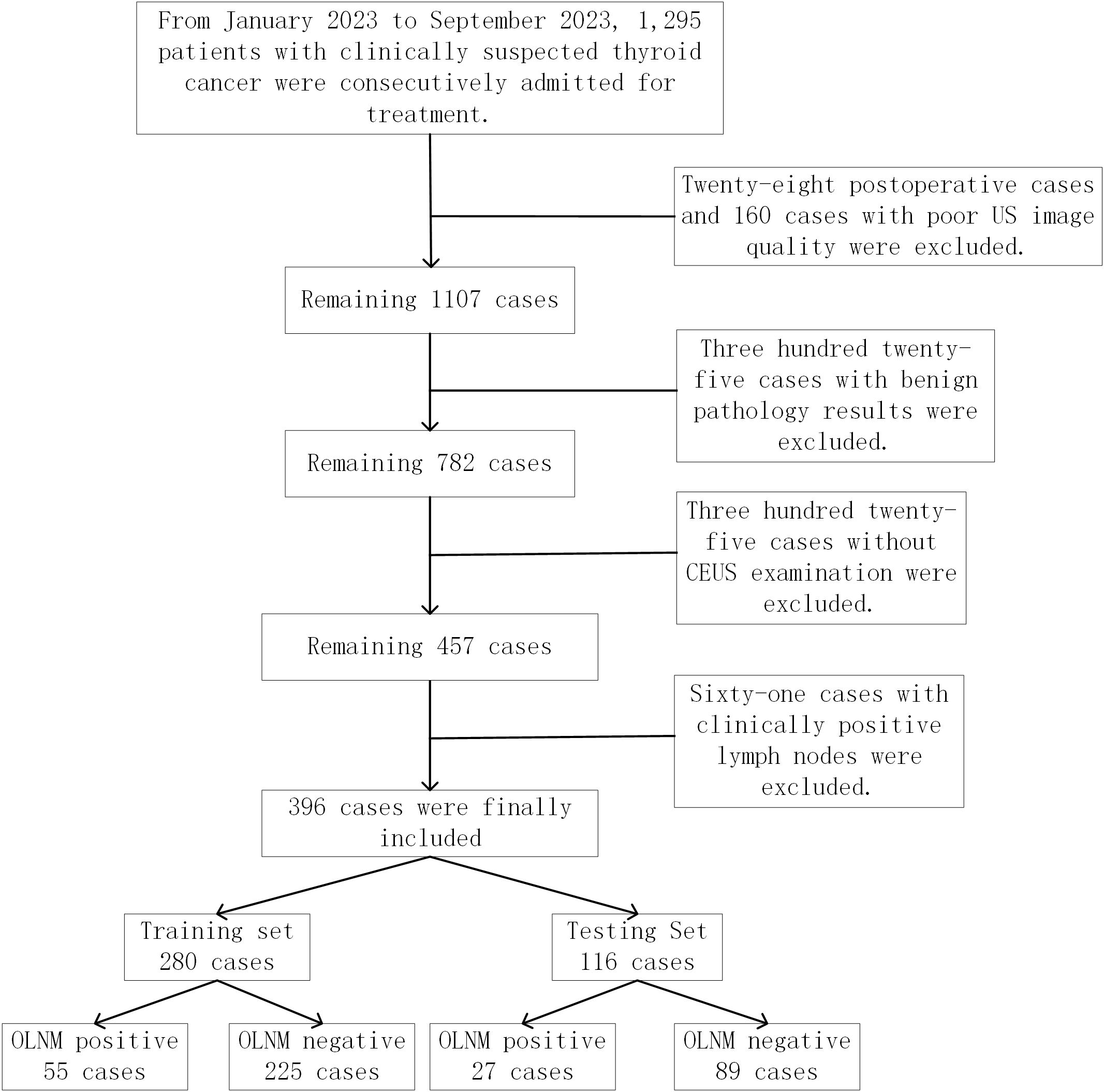 Flowchart showing patient selection from January 2023 to September 2023 for suspected thyroid cancer. From 1,295 patients, exclusions include 28 postoperative cases, 160 poor image quality cases, 325 benign pathology cases, 325 without CEUS examination, and 61 with positive lymph nodes. This leaves 396 cases, divided into a training set of 280 cases and a testing set of 116 cases. The training set has 55 OLNM positive and 225 negative cases, while the testing set has 27 OLNM positive and 89 negative cases.