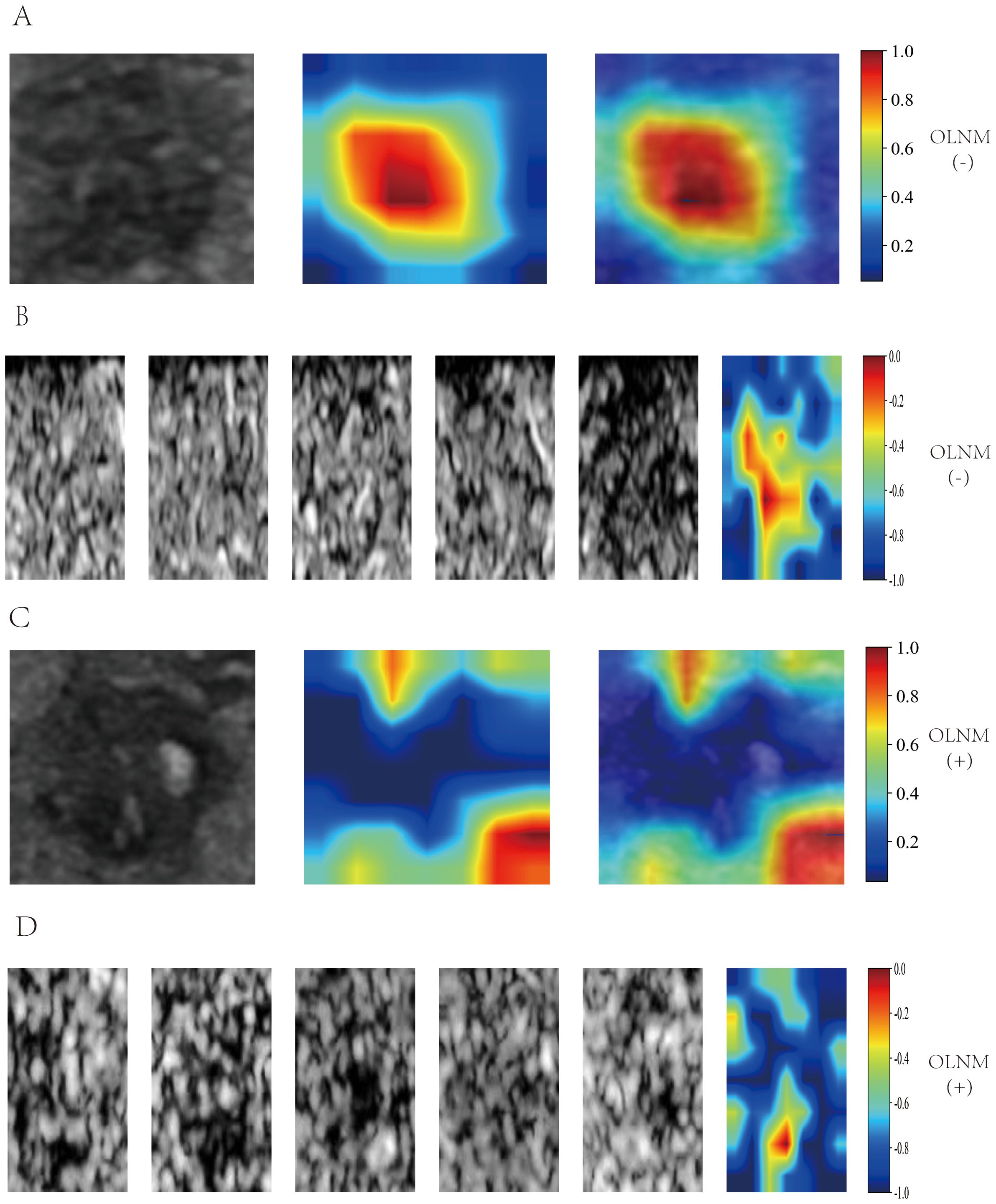 Panel A displays a series of grayscale images with a color map ranging from negative one to zero. Panel B presents a blurred grayscale image flanked by two color-mapped images ranging from zero point two to one. Panel C includes multiple grayscale images with a color map ranging from negative one to zero. Panel D shows a grayscale image next to two color-mapped images ranging from zero point two to one, with a noted axis labeled OLNM indicating positive and negative values.