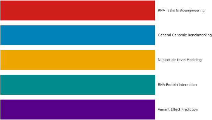 Five horizontal colored bars each representing a different concept: red for RNA Tasks and Bioengineering, blue for General Genomic Benchmarking, yellow for Nucleotide-Level Modeling, teal for RNA-Protein Interaction, and purple for Variant Effect Prediction.