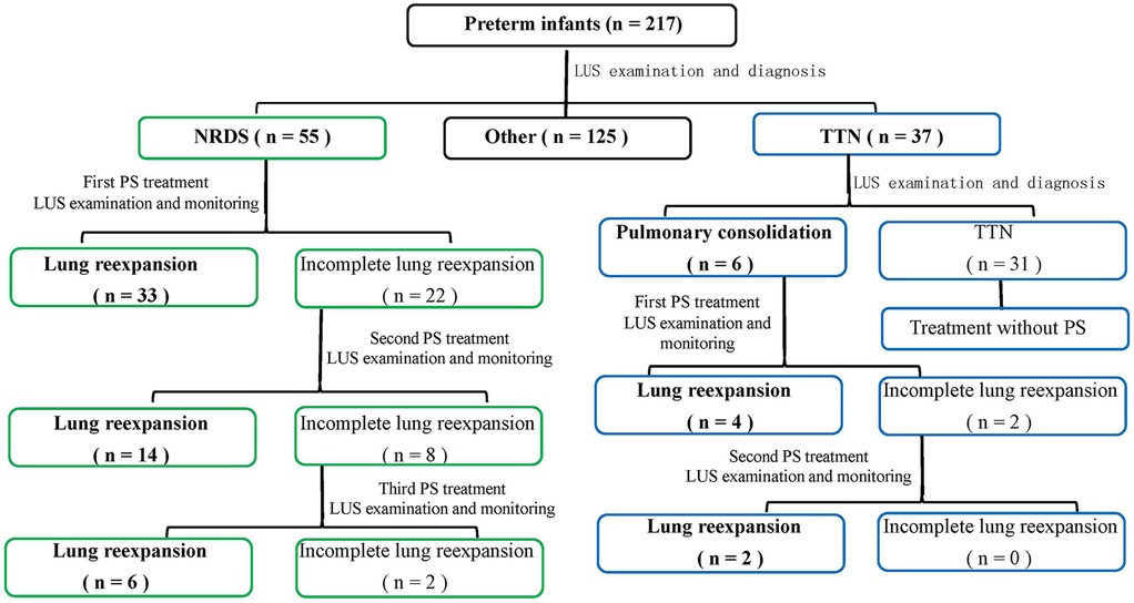 Flowchart depicting the treatment and outcomes of 217 preterm infants using LUS examination. It shows classifications into NRDS (55 infants), TTN (37 infants), and other (125 infants), detailing steps like PS treatment and lung reexpansion. Different pathways show complete or incomplete lung reexpansion after treatments, with numbers indicating the count of infants at each step.
