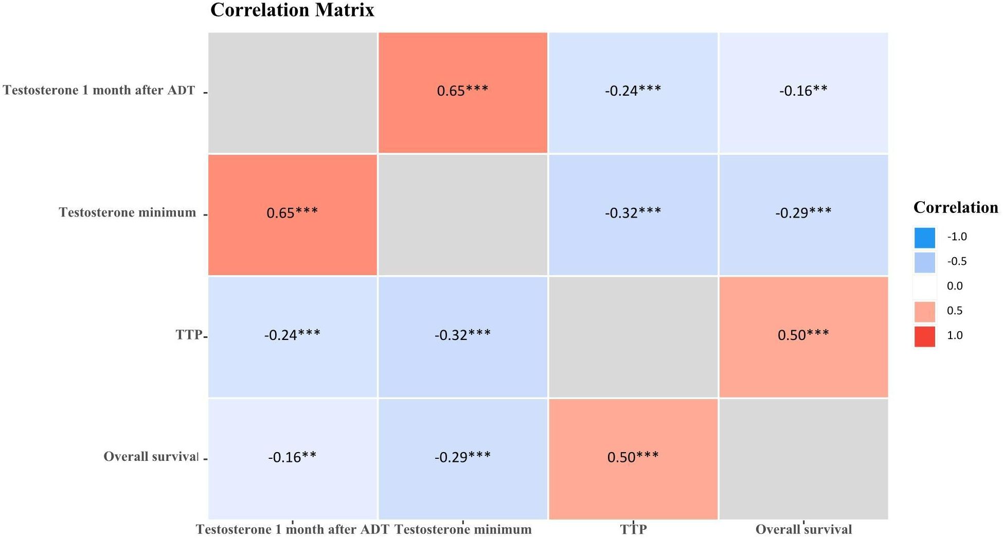 Correlation matrix showing relationships between variables: Testosterone 1 month after ADT, Testosterone minimum, TTP, and Overall survival. Significant correlations include Testosterone minimum with Testosterone 1 month after ADT (0.65), Testosterone minimum with TTP (-0.32), and Overall survival with TTP (-0.29) and itself (0.50). Color scale ranges from blue (negative correlation) to red (positive correlation).