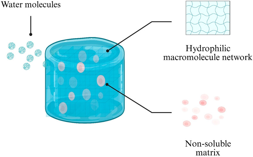 Diagram showing a cylindrical hydrogel structure with three labeled components. Water molecules are depicted as small spheres external to the gel. Inside, the hydrophilic macromolecule network is illustrated as a connected mesh. Non-soluble matrix components are represented as red circles within the gel.