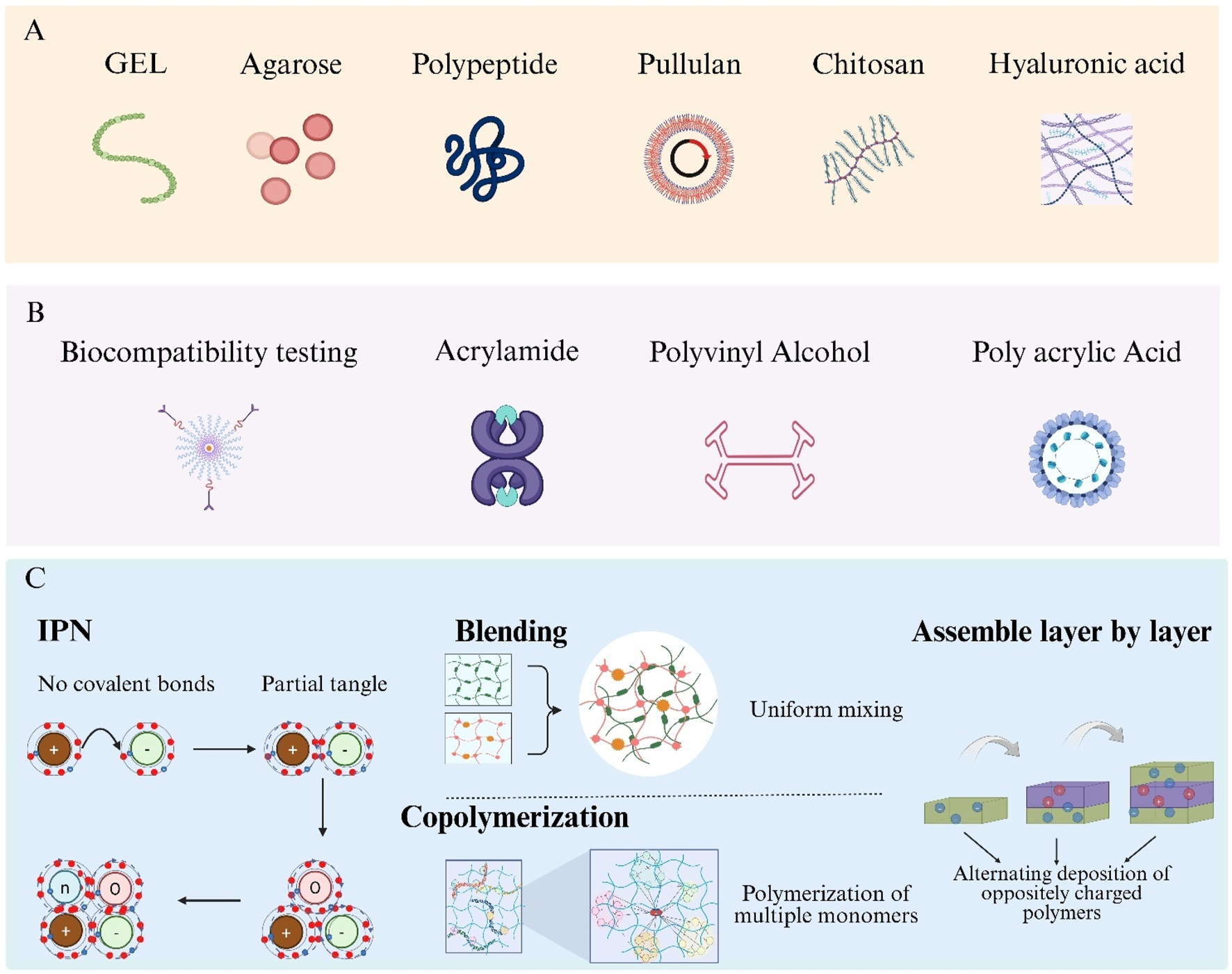 Section A illustrates various gels, including depictions of agarose, polypeptide, pullulan, chitosan, and hyaluronic acid. Section B shows biocompatibility testing and structures of acrylamide, polyvinyl alcohol, and polyacrylic acid. Section C explores Interpenetrating Polymer Networks (IPN) methods, such as no covalent bonds, partial tangling, blending, copolymerization of multiple monomers, and layer-by-layer assembly of oppositely charged polymers.